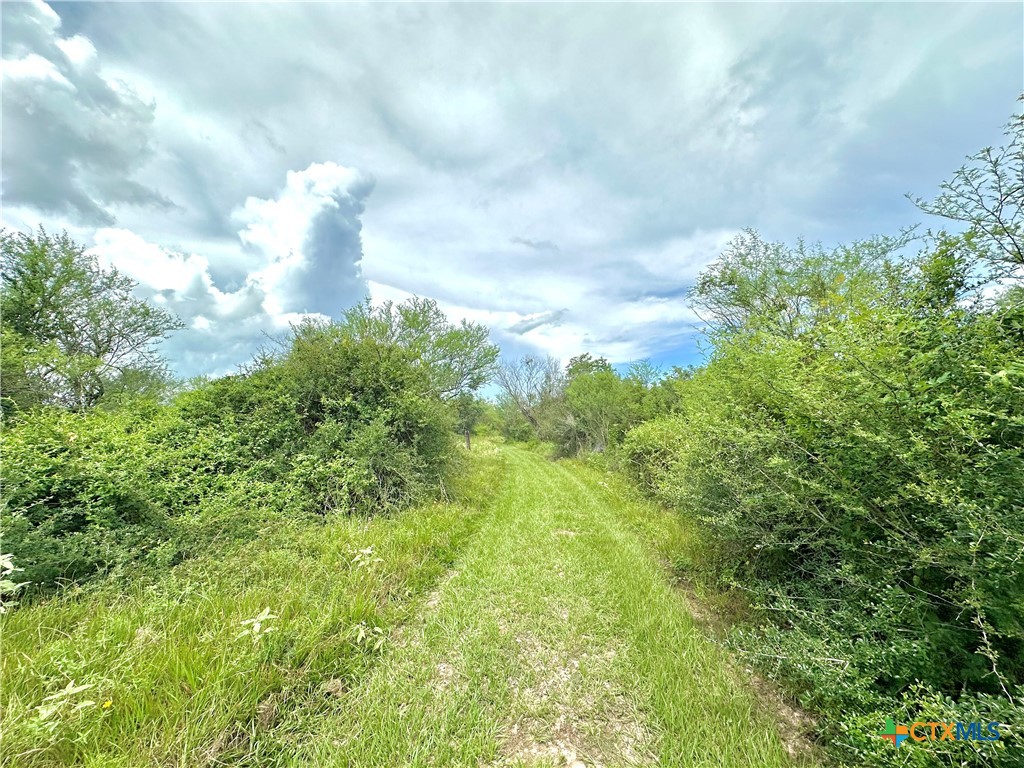 Nursery, Texas, 77976, United States, ,Land,For Sale,1885536