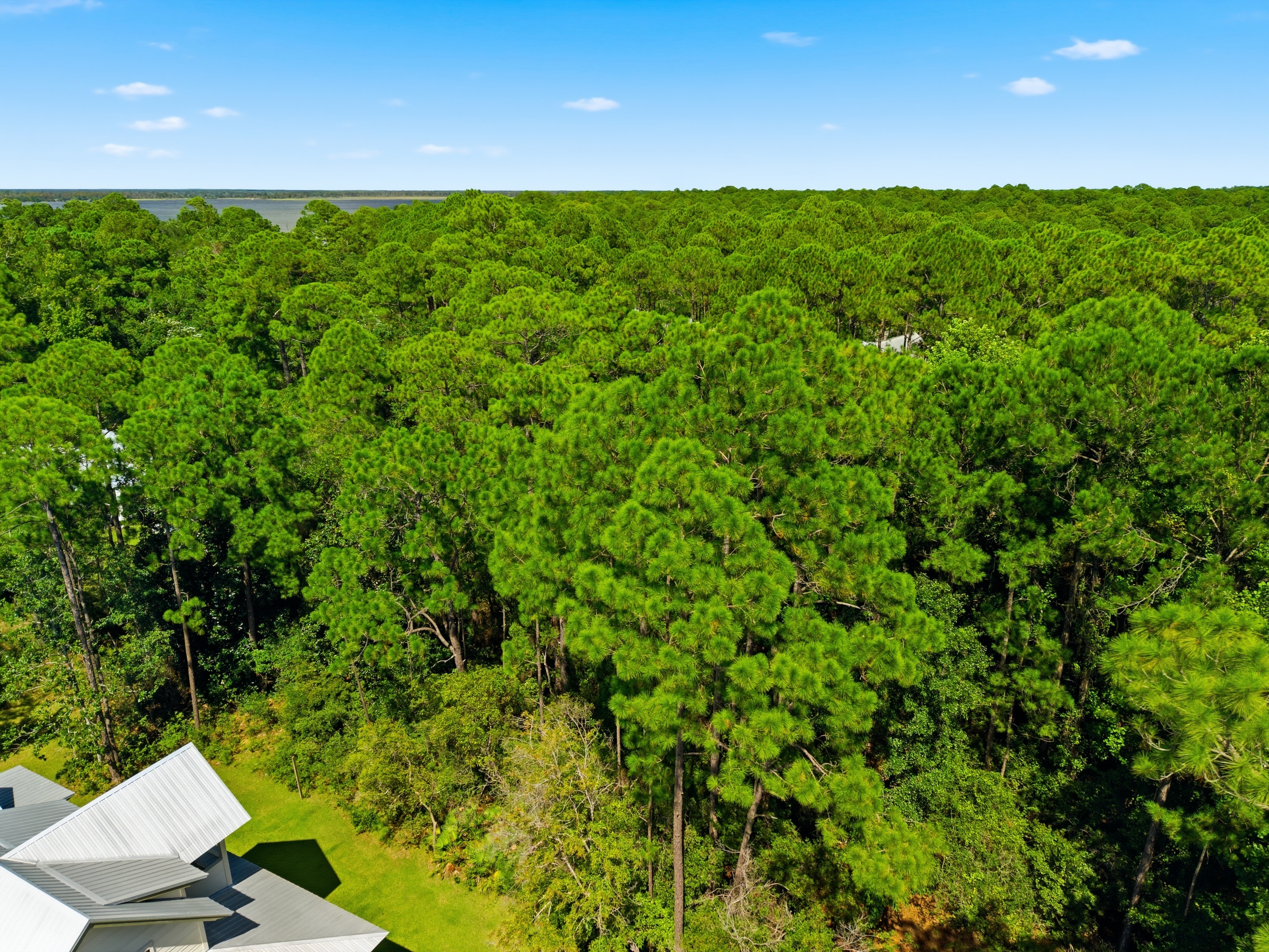  Expansive Point Washington Homesite Near the Bay & 30A - 物件實景