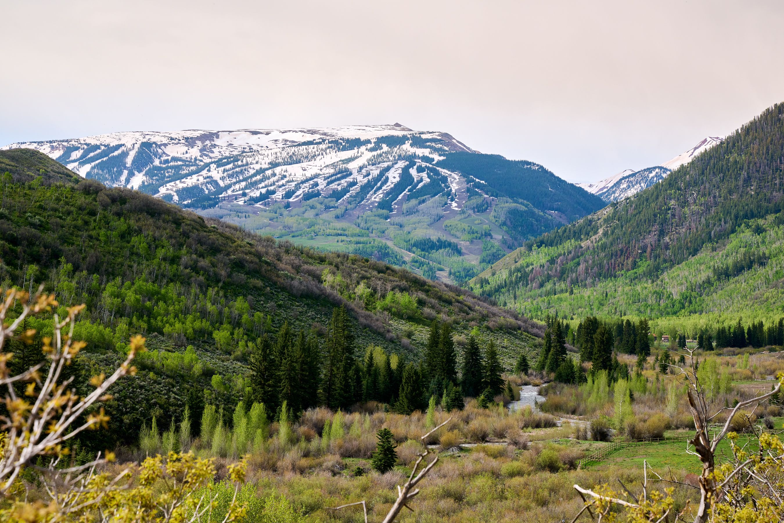  51 Shield O Road, Snowmass, CO, 81654 - 物件實景