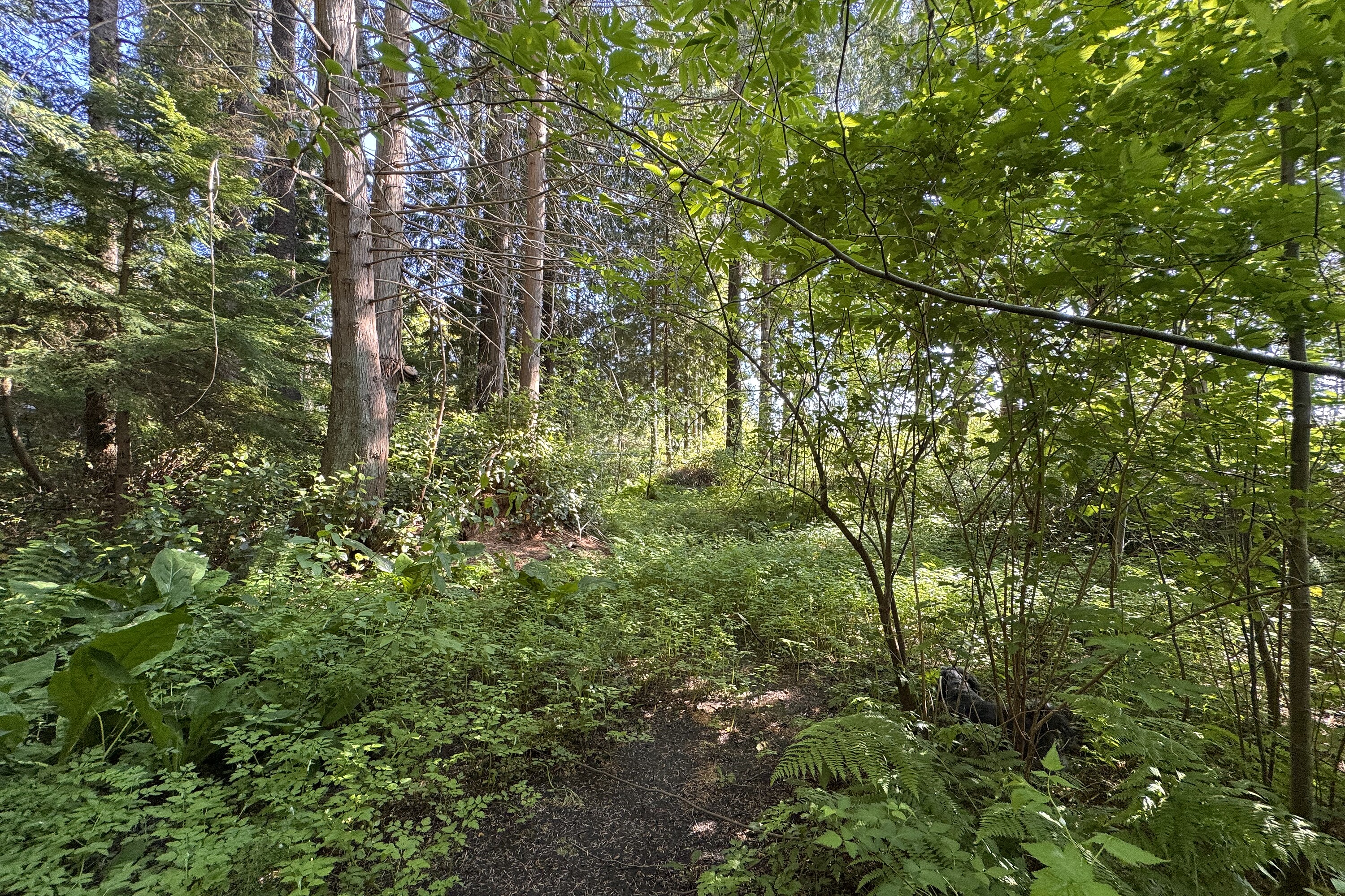  Sechelt, Sunshine Coast - 物件實景