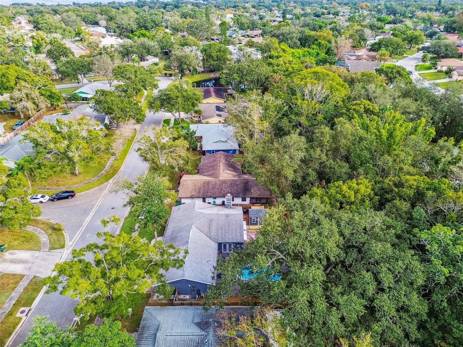 Safety Harbor, Florida, 34695, United States, 2 Bedrooms Bedrooms, ,2 BathroomsBathrooms,Residential,For Sale,2005767