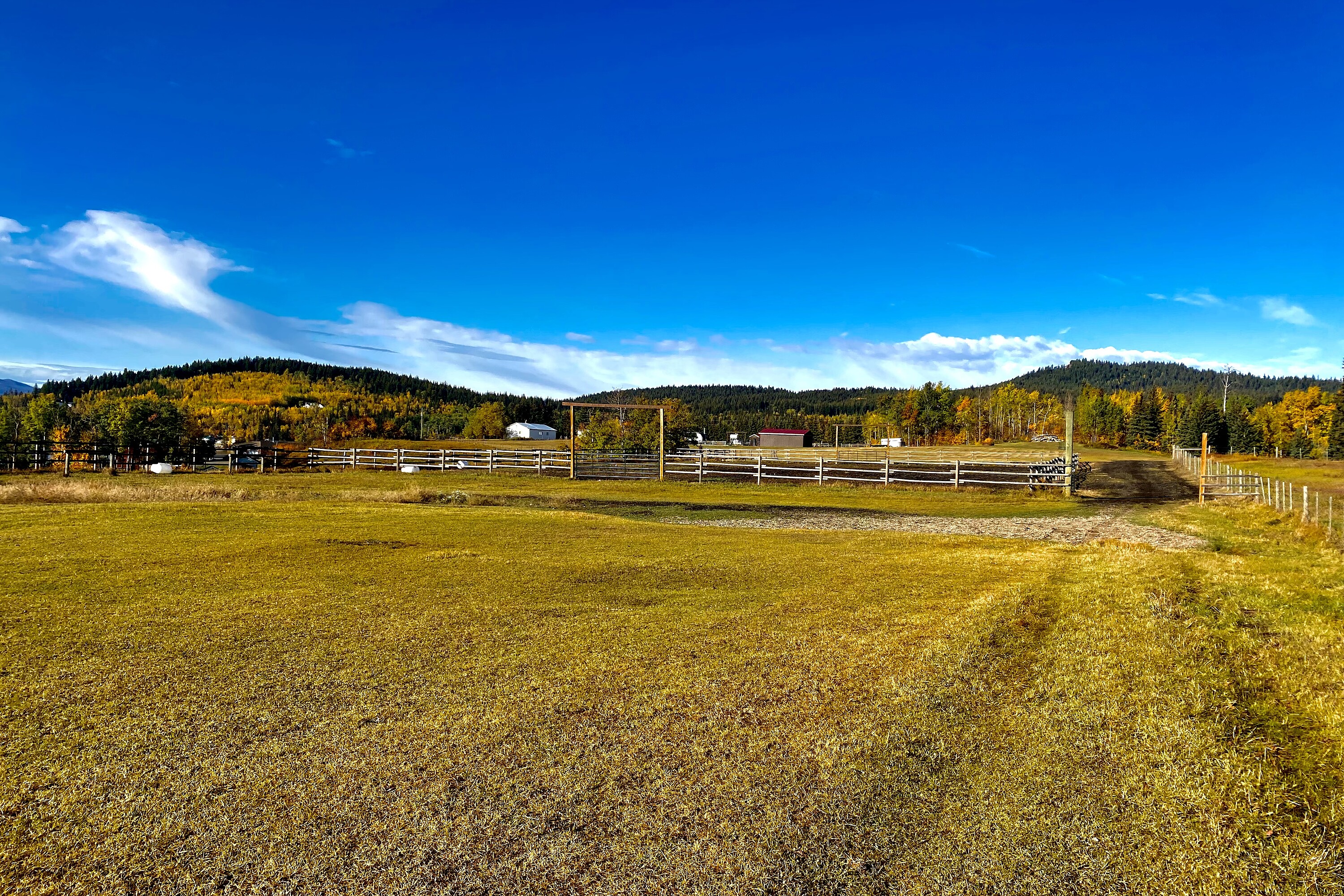  Waterfront Equestrian Living - 物件實景