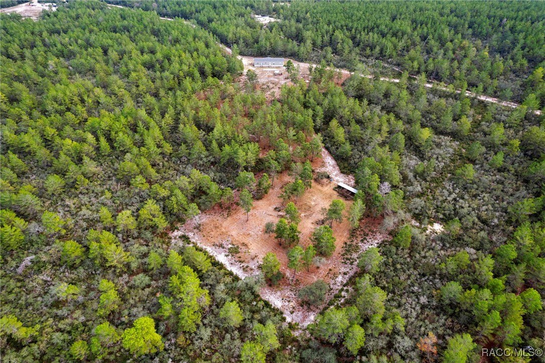 Dunnellon, Florida, 34433, United States, 4 Bedrooms Bedrooms, ,3 BathroomsBathrooms,Residential,For Sale,2008614