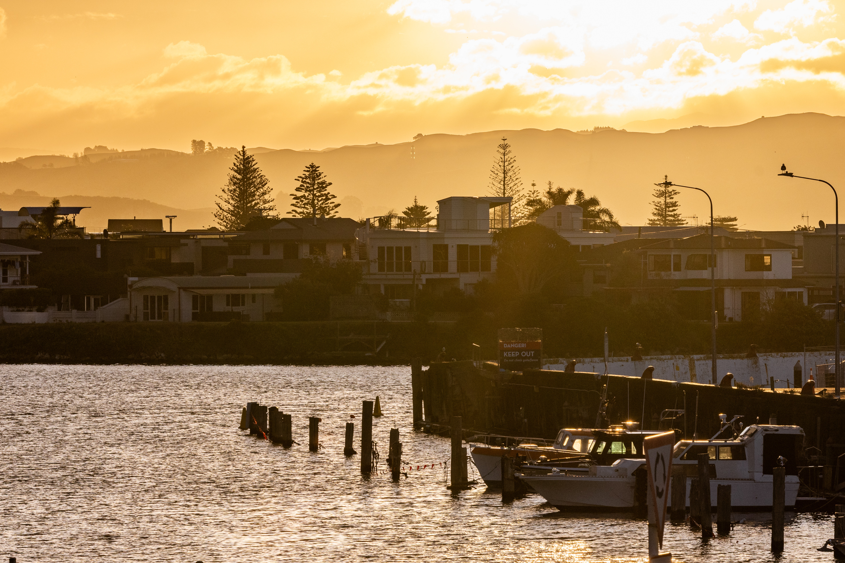  Front-Row to Ahuriri - 物件實景