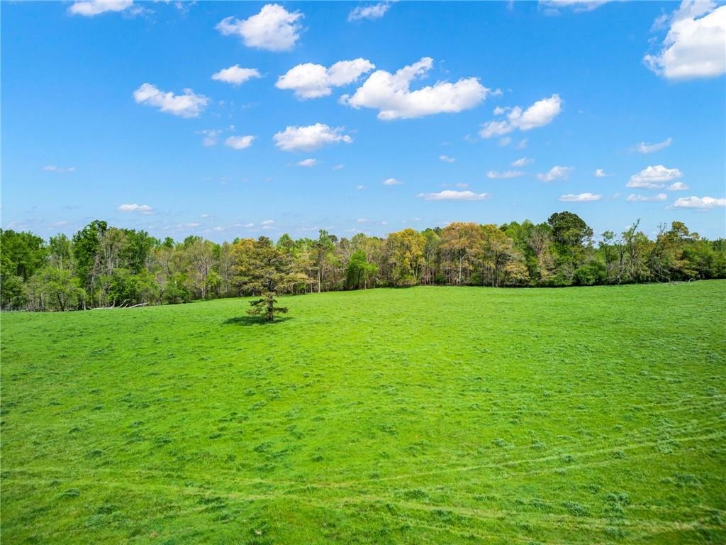 0 Bradley Road, Talking Rock, Georgia, 30175, United States, ,Residential,For Sale,0 Bradley Road,1511610