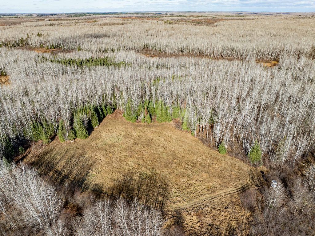 Grand Rapids, Minnesota, 55744, United States, ,Land,For Sale,1983791