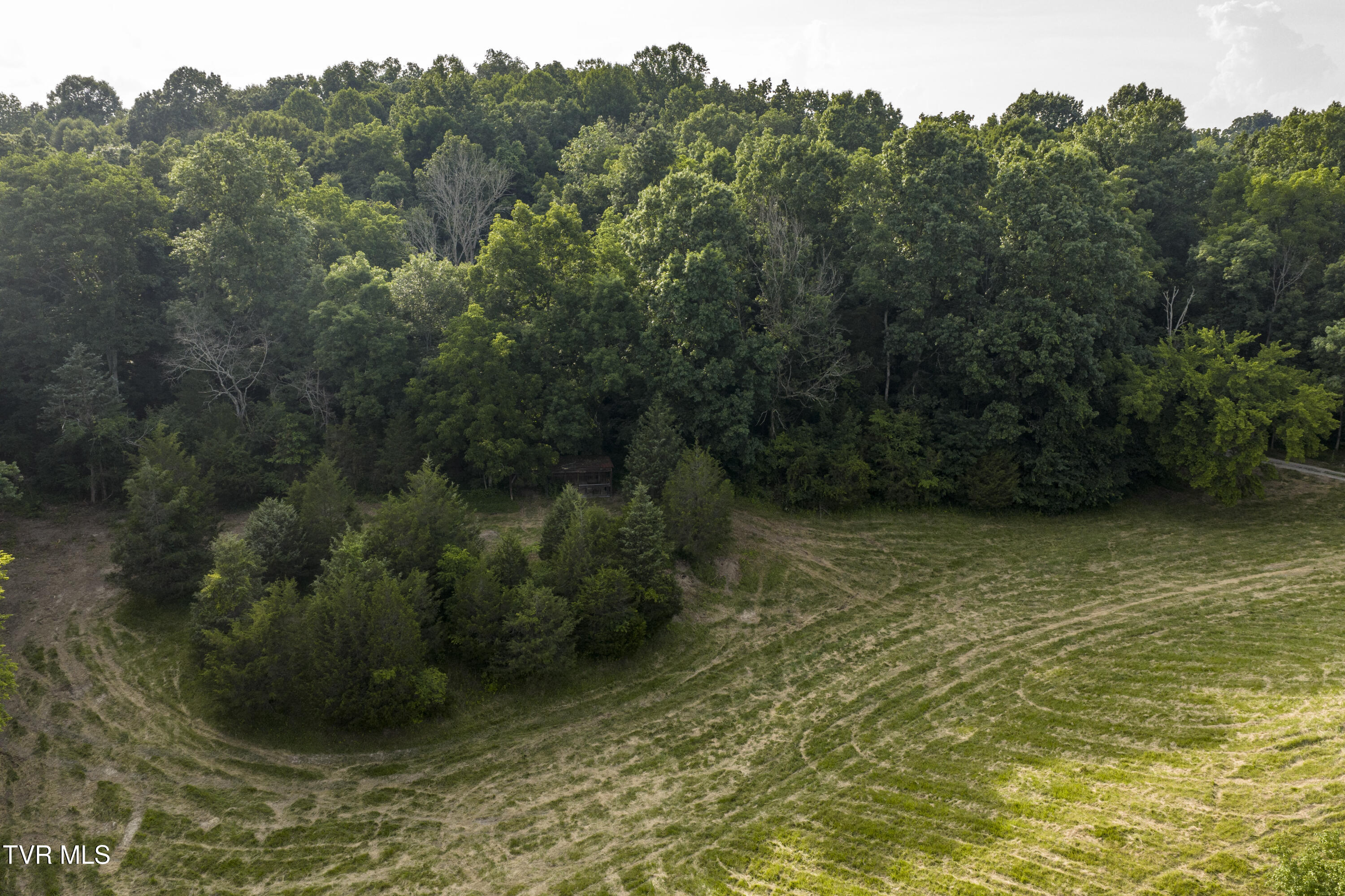 Piney Flats, Tennessee, 37686, United States, ,Land,For Sale,1983828