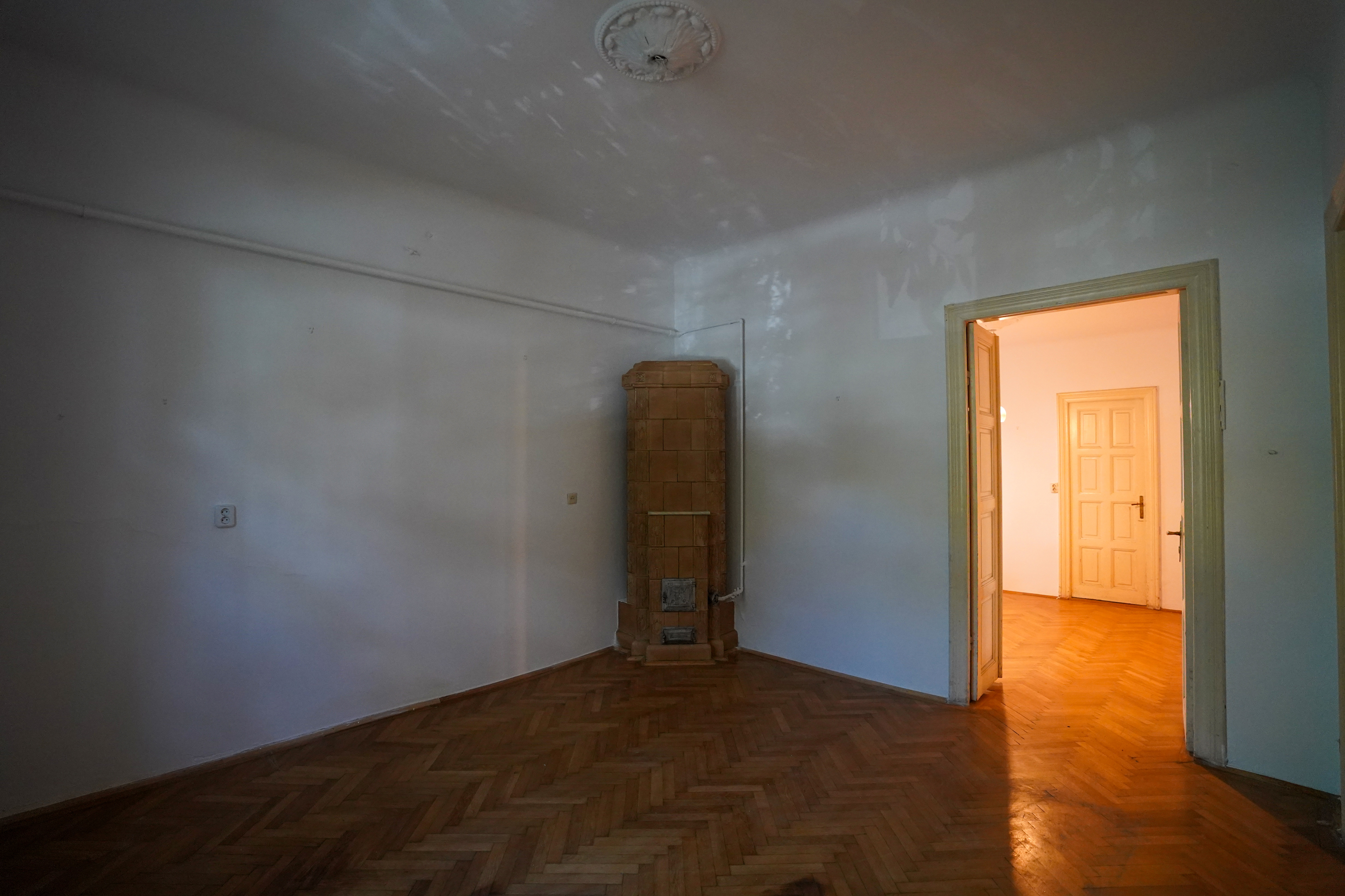  Authentic Interwar Villa with Original Features in Dorobani - Capitale - 物件實景