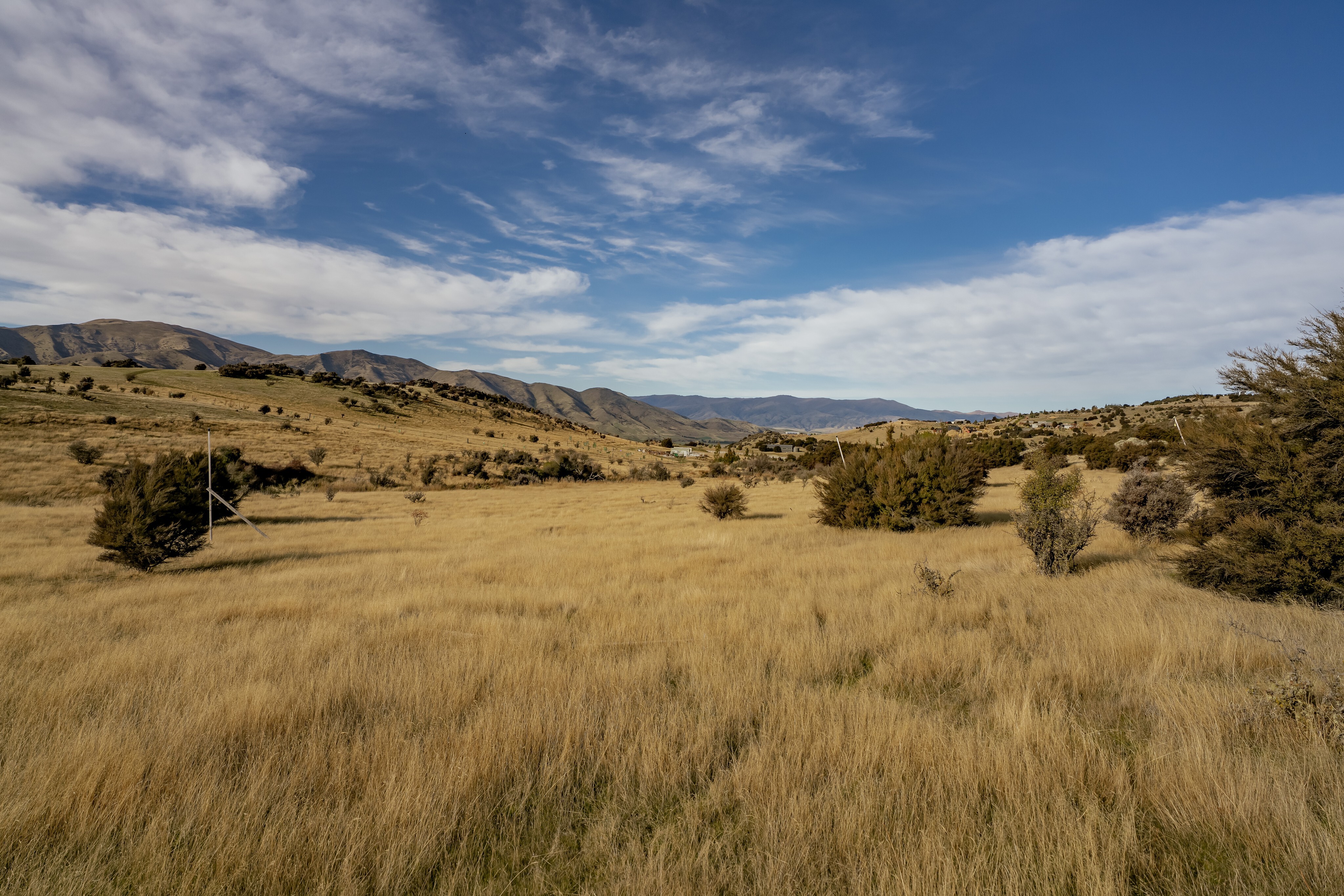 Paradise Found - 物件實景