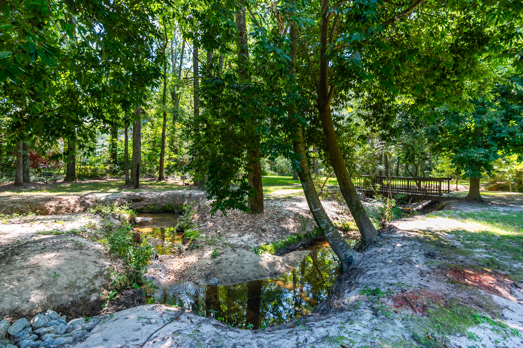  Timeless Charm Meets Effortless Everyday Living in the Heart of Alpharetta - 物件實景