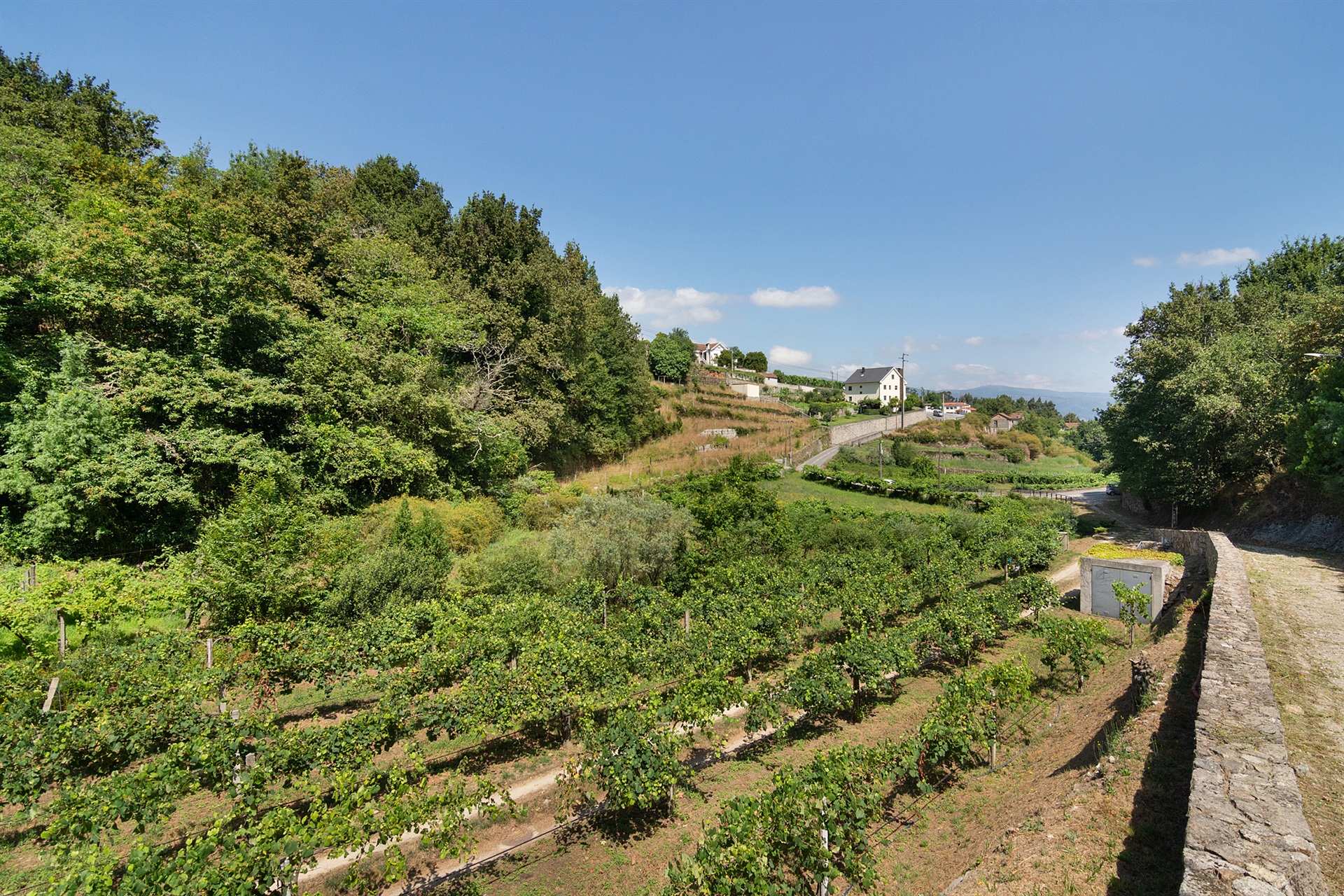  Farm, 5 bedrooms, for Sale - 物件實景