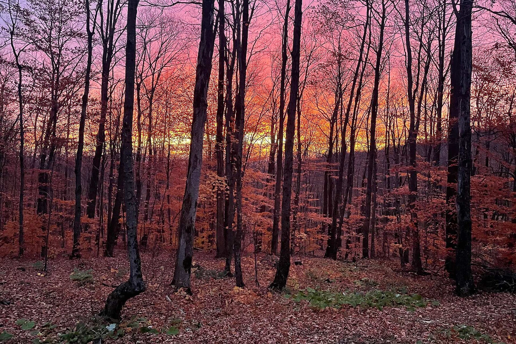  Sutton, Eastern Townships - 物件實景