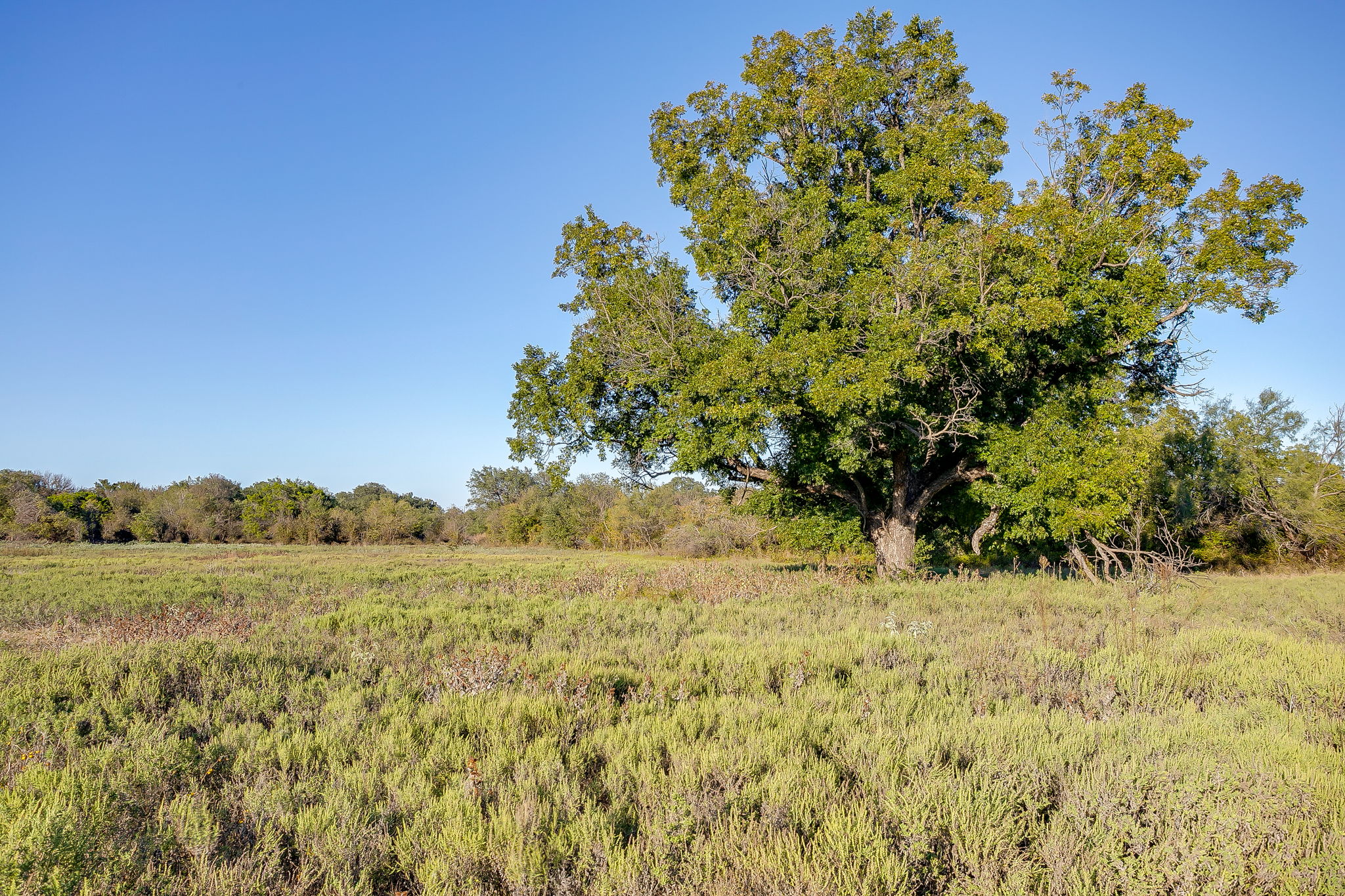  Lot 39 River Canyon, Mineral Wells, TX, 76484 - 物件實景