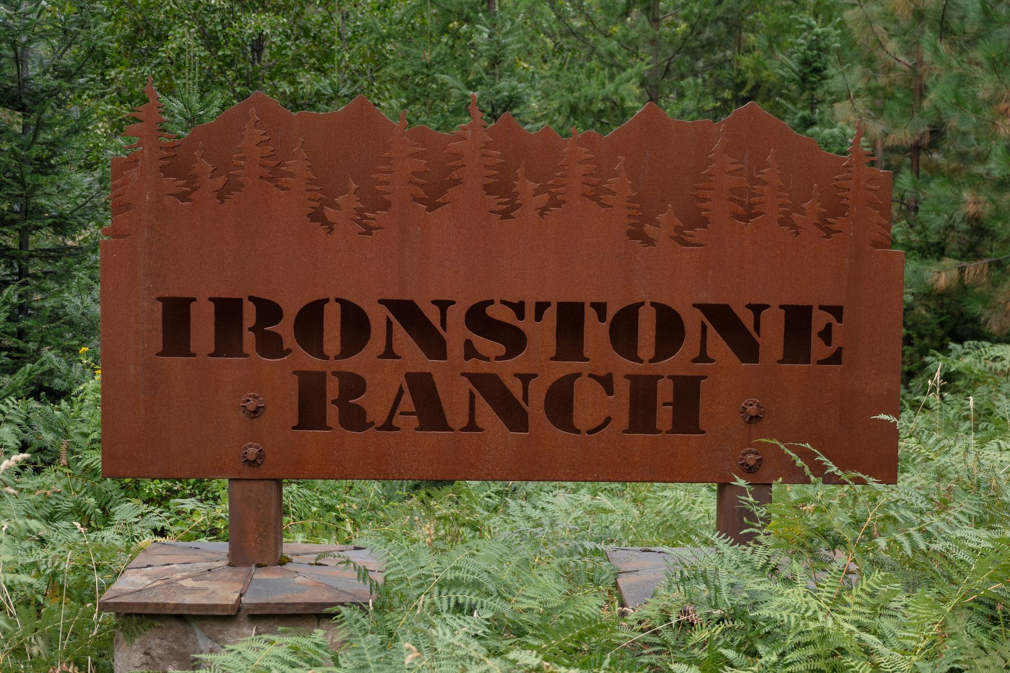 Sandpoint, Idaho, 83864, United States, 3 Bedrooms Bedrooms, ,3 BathroomsBathrooms,Residential,For Sale,1981039