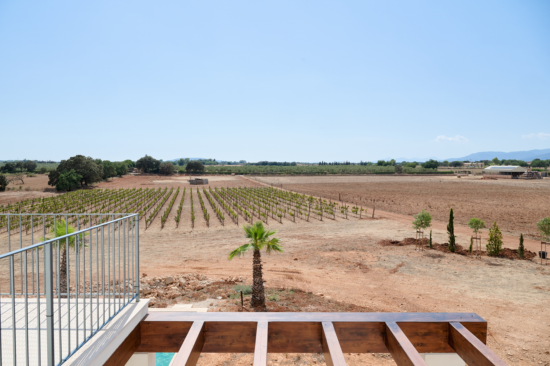  Contemporary estate with guest apartment and vineyard in Inca - 物件實景