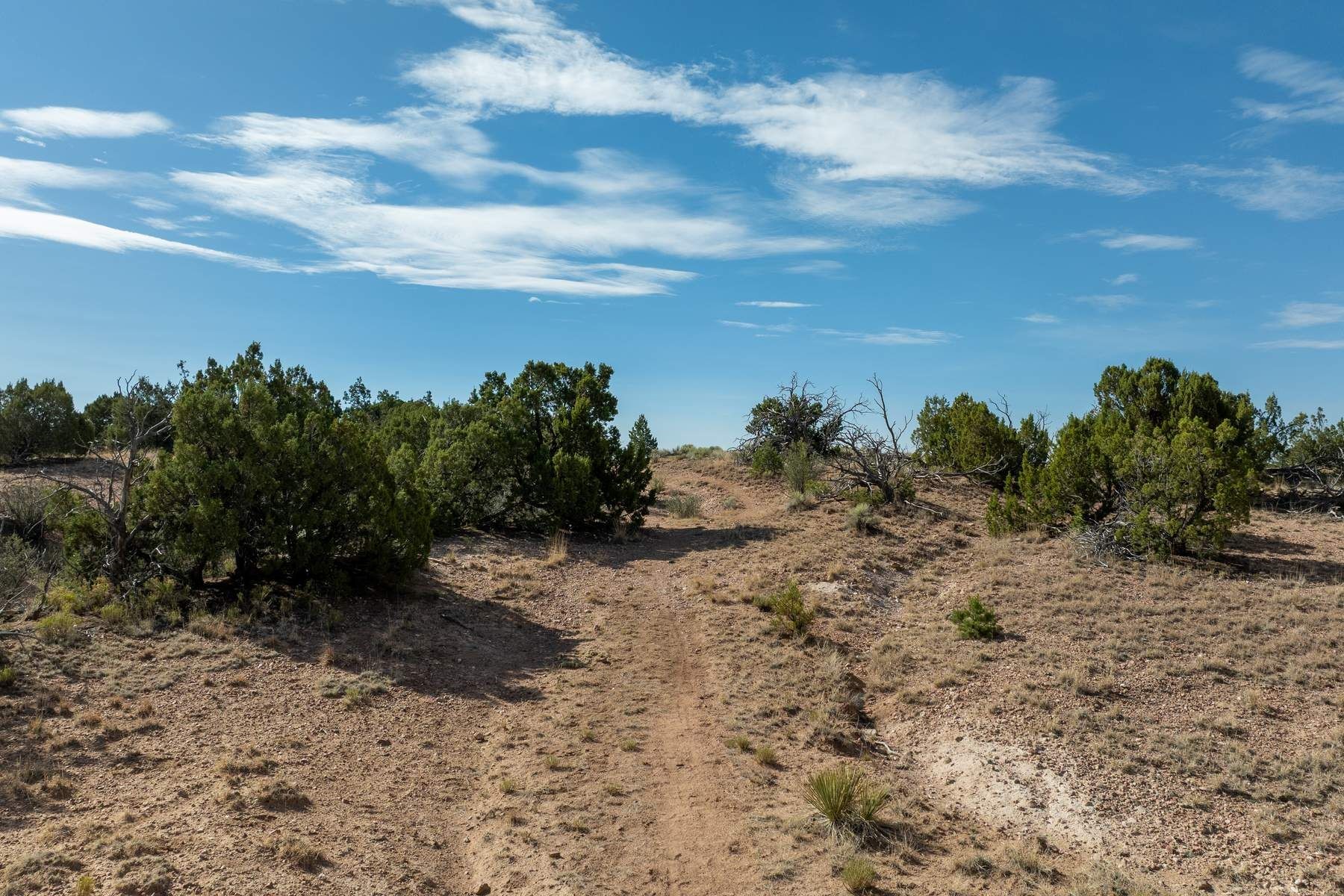  245 Arroyo Hondo Trail - 物件實景