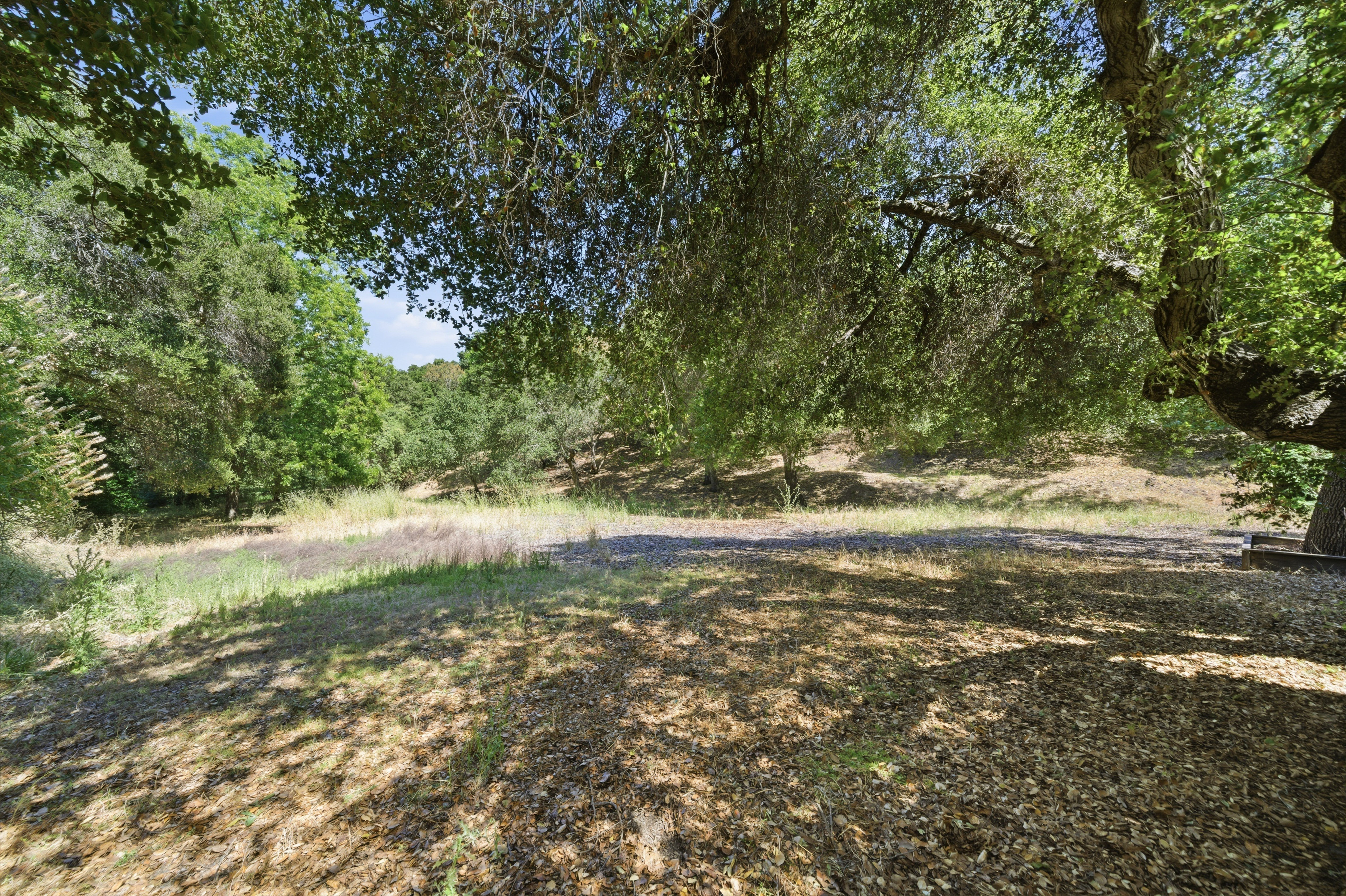  Extraordinary Acre Estate with Development Potential in a Prime Location - 物件實景