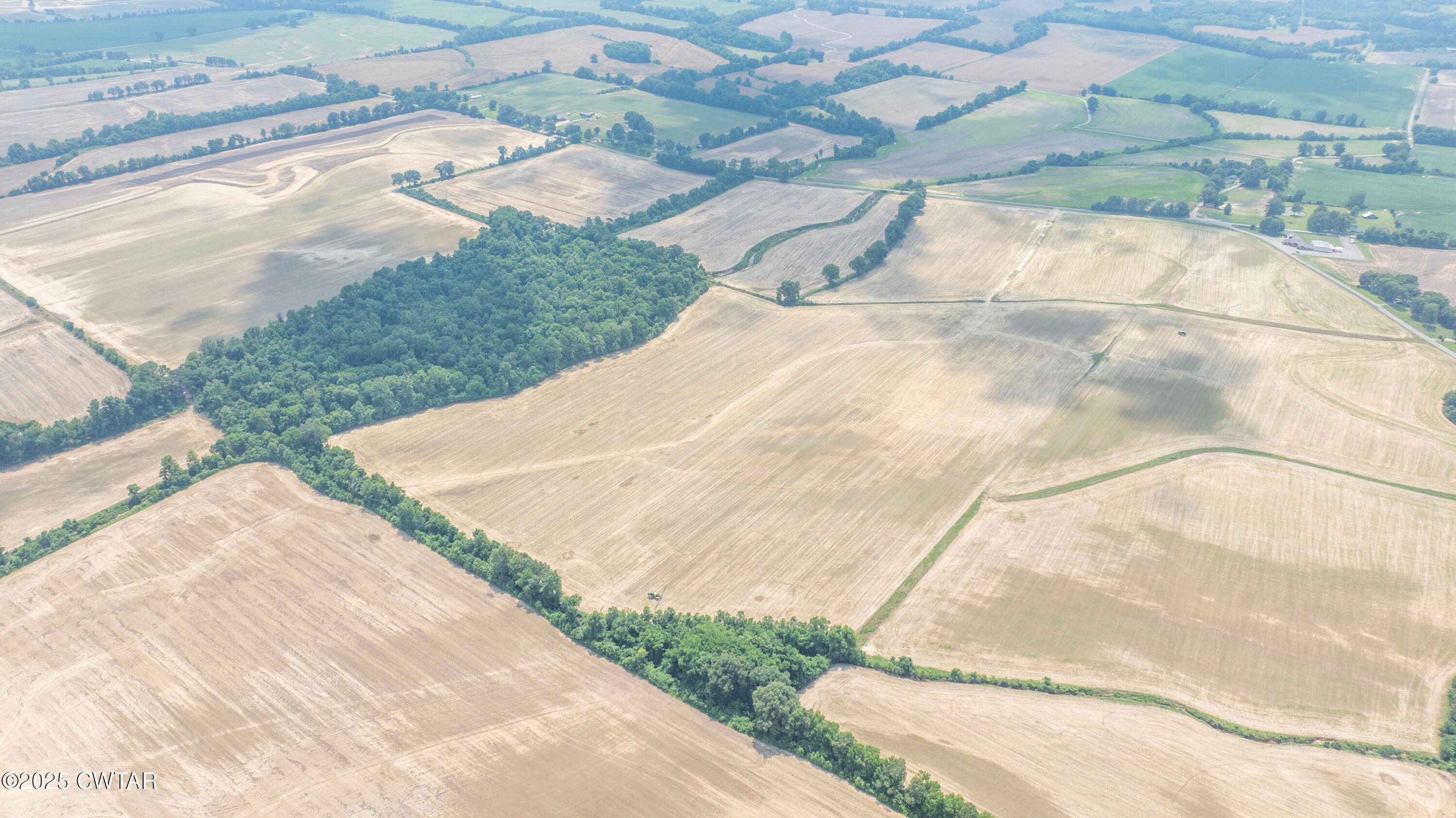 Brownsville, Tennessee, 38012, United States, ,Land,For Sale,1894804