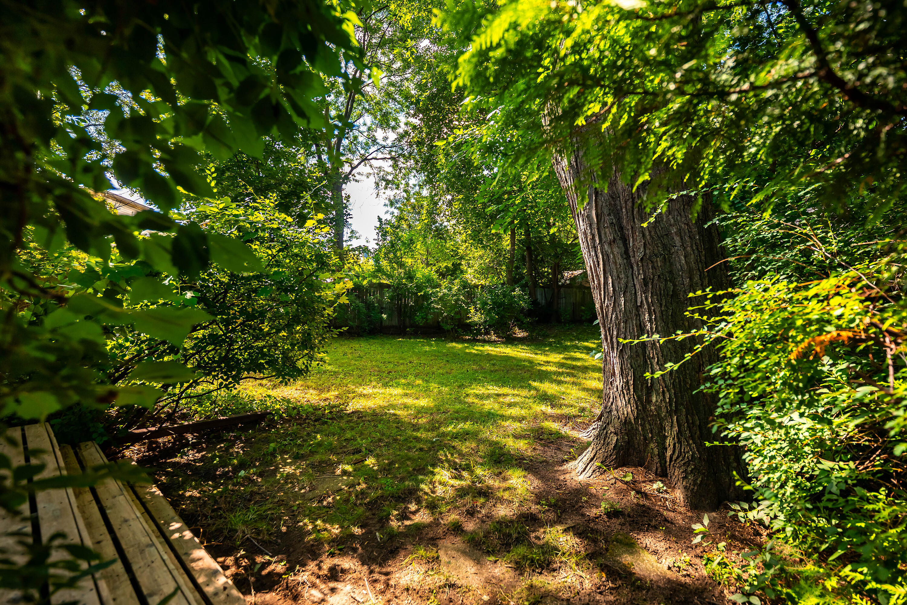 Prime Applewood Acres Lot - 物件實景