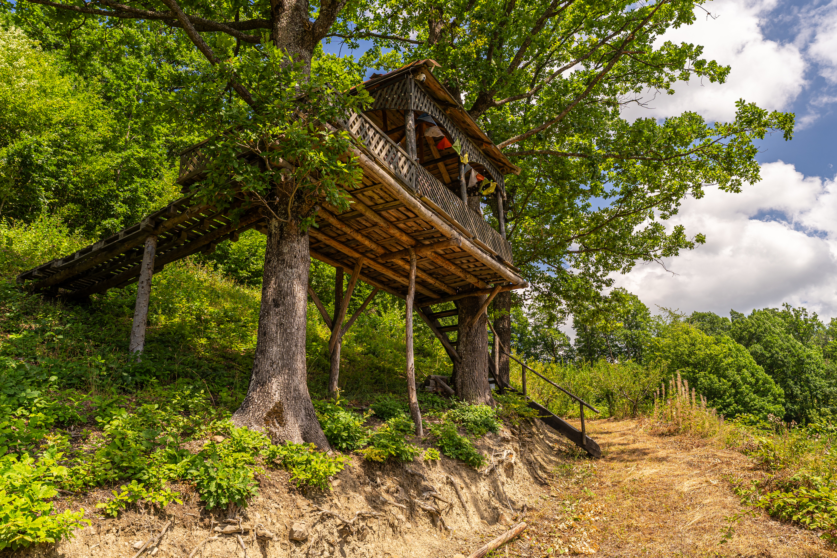  Versatile 22-Hectare Private Estate - Forested Heart of the Apuseni Mountains - 物件實景