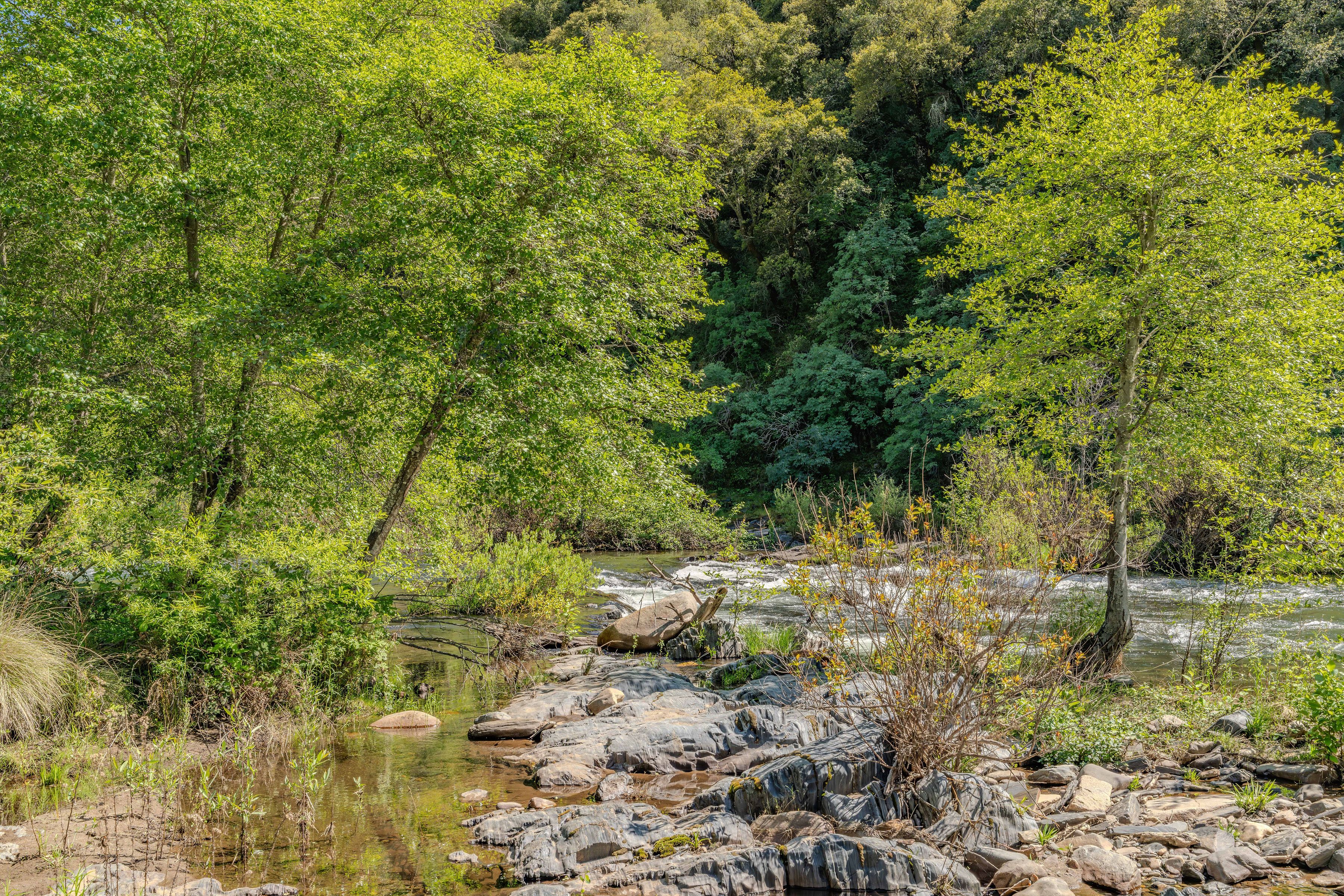  Horizon Canyon  Private 41-Acre Riverfront Estate Between Sacramento & Lake Tah - 物件實景