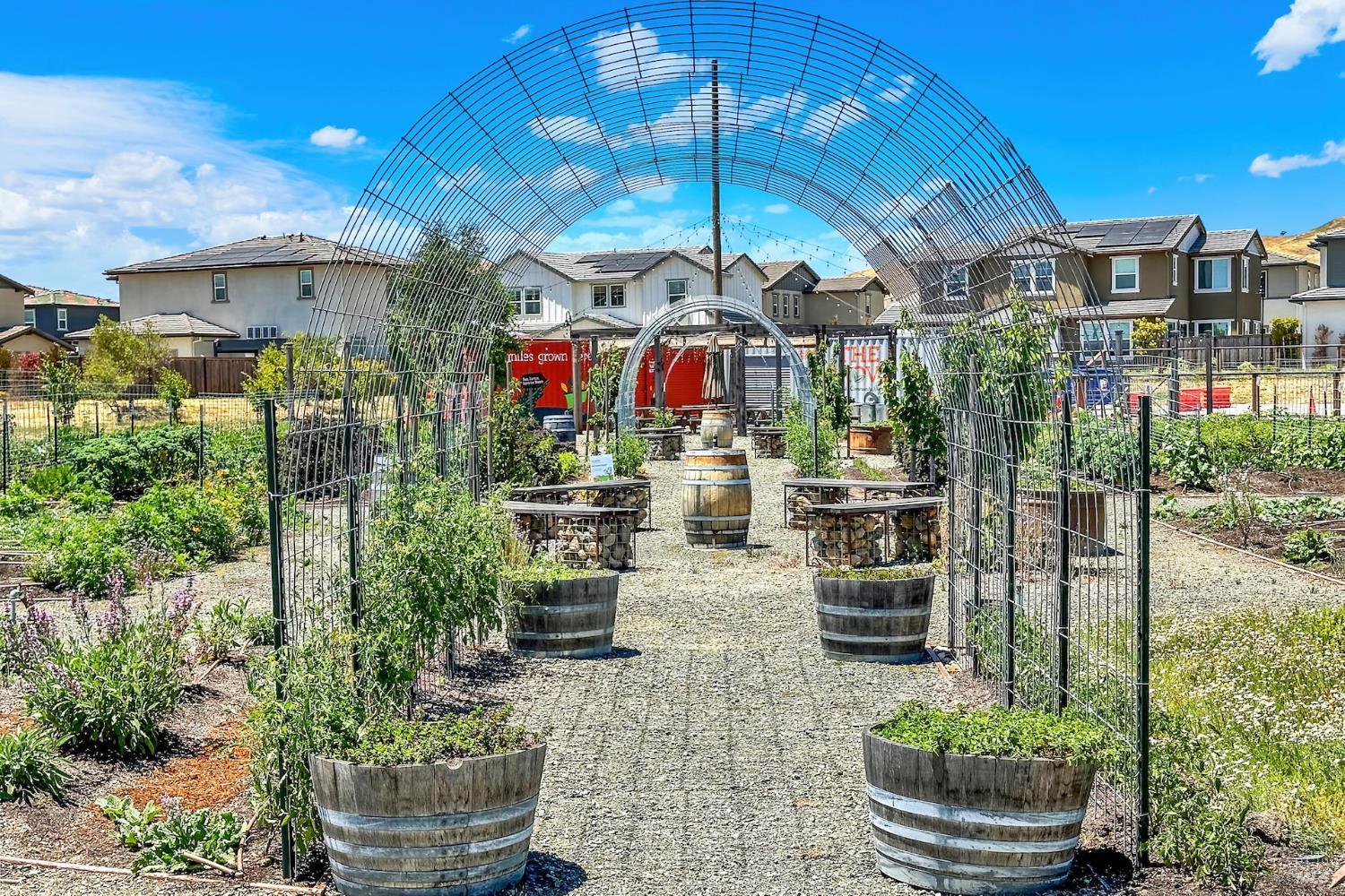 Fairfield, California, 94533, United States, 3 Bedrooms Bedrooms, ,2 BathroomsBathrooms,Residential,For Sale,2025856