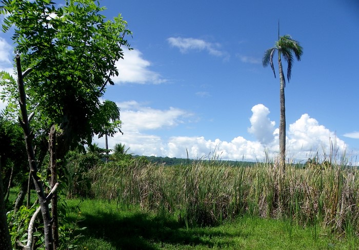Cabarete, DO, ,Land,For Sale,1627535
