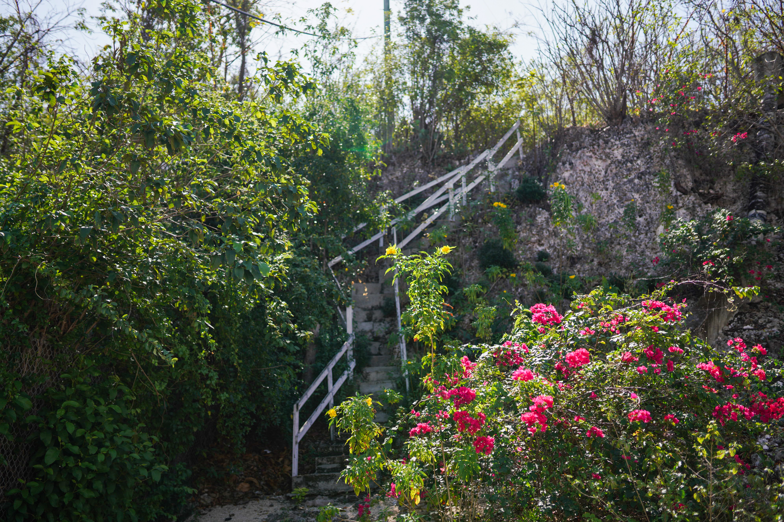  Oceanfront Large Land Parcel - 物件實景