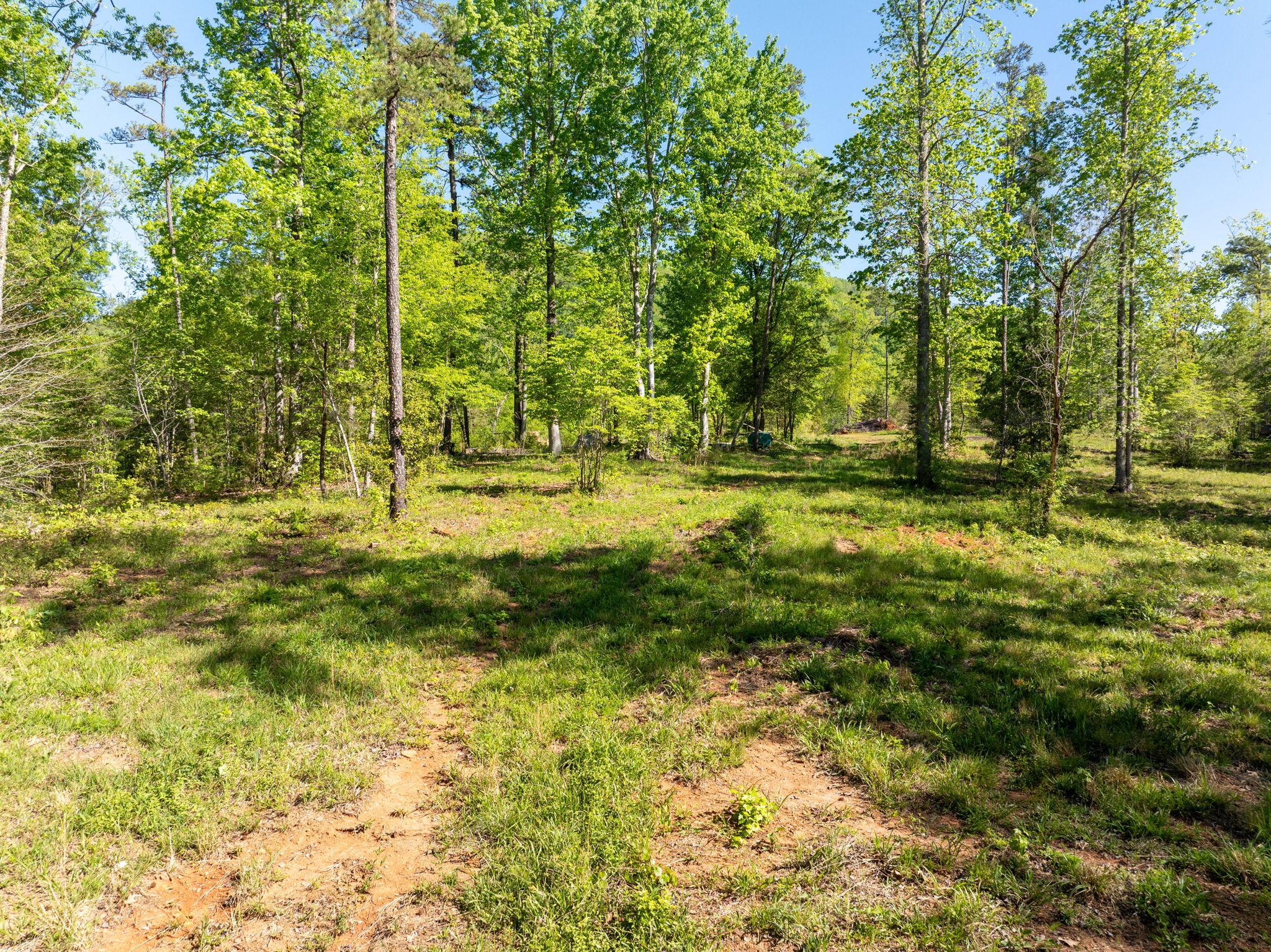  118 Harris Road, Pickens, SC 29671 - 物件實景
