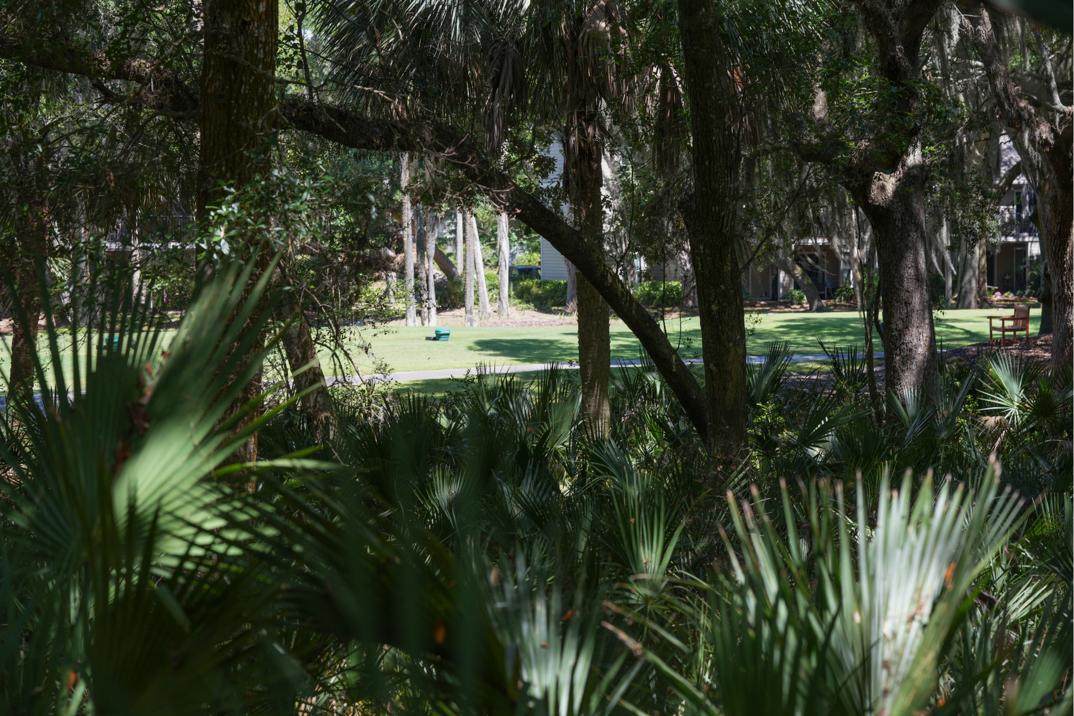  624 Double Eagle Trace, Seabrook Island - 物件實景
