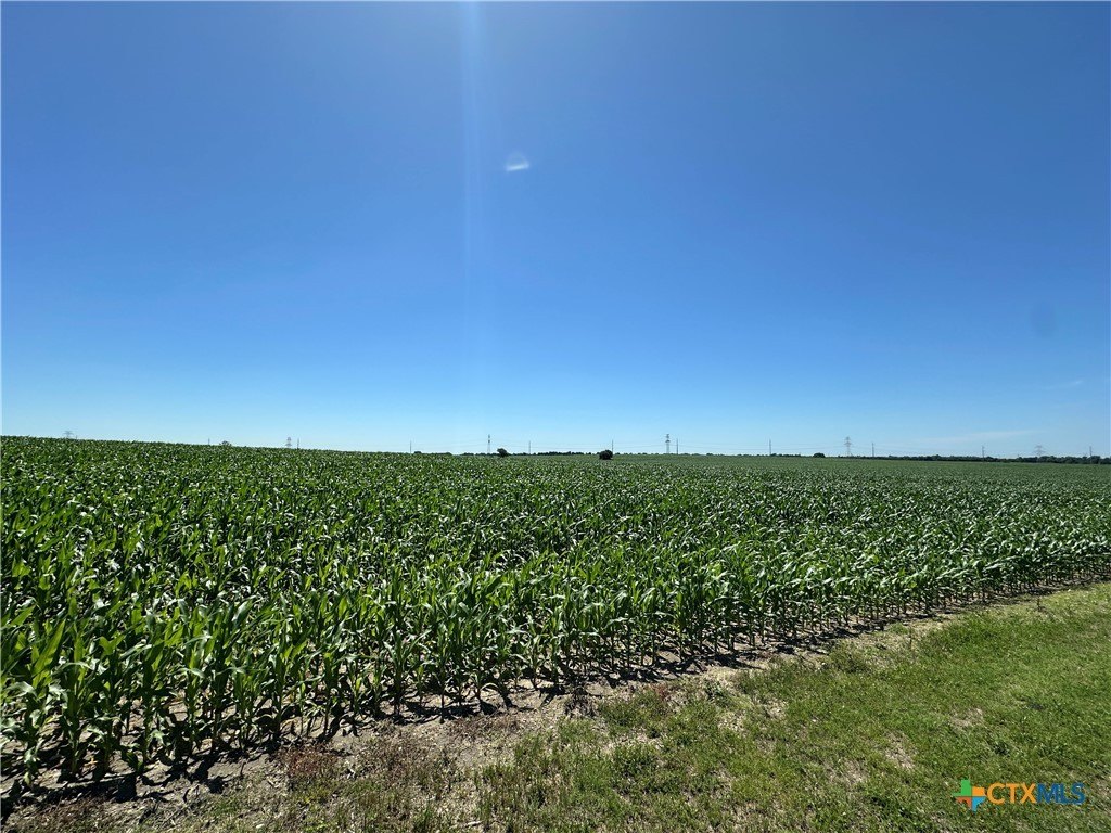 Temple, Texas, 76501, United States, ,Residential,For Sale,1810642