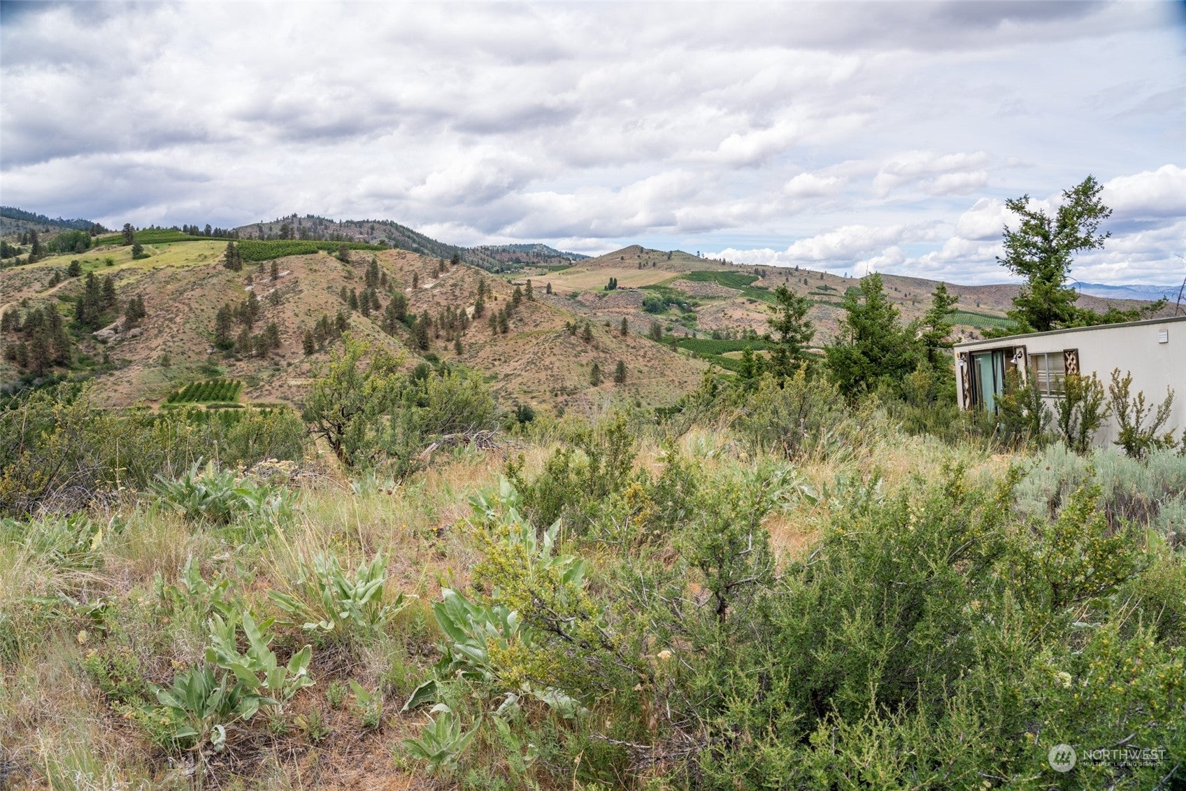 Wenatchee, Washington, 98801, United States, ,Land,For Sale,1690373