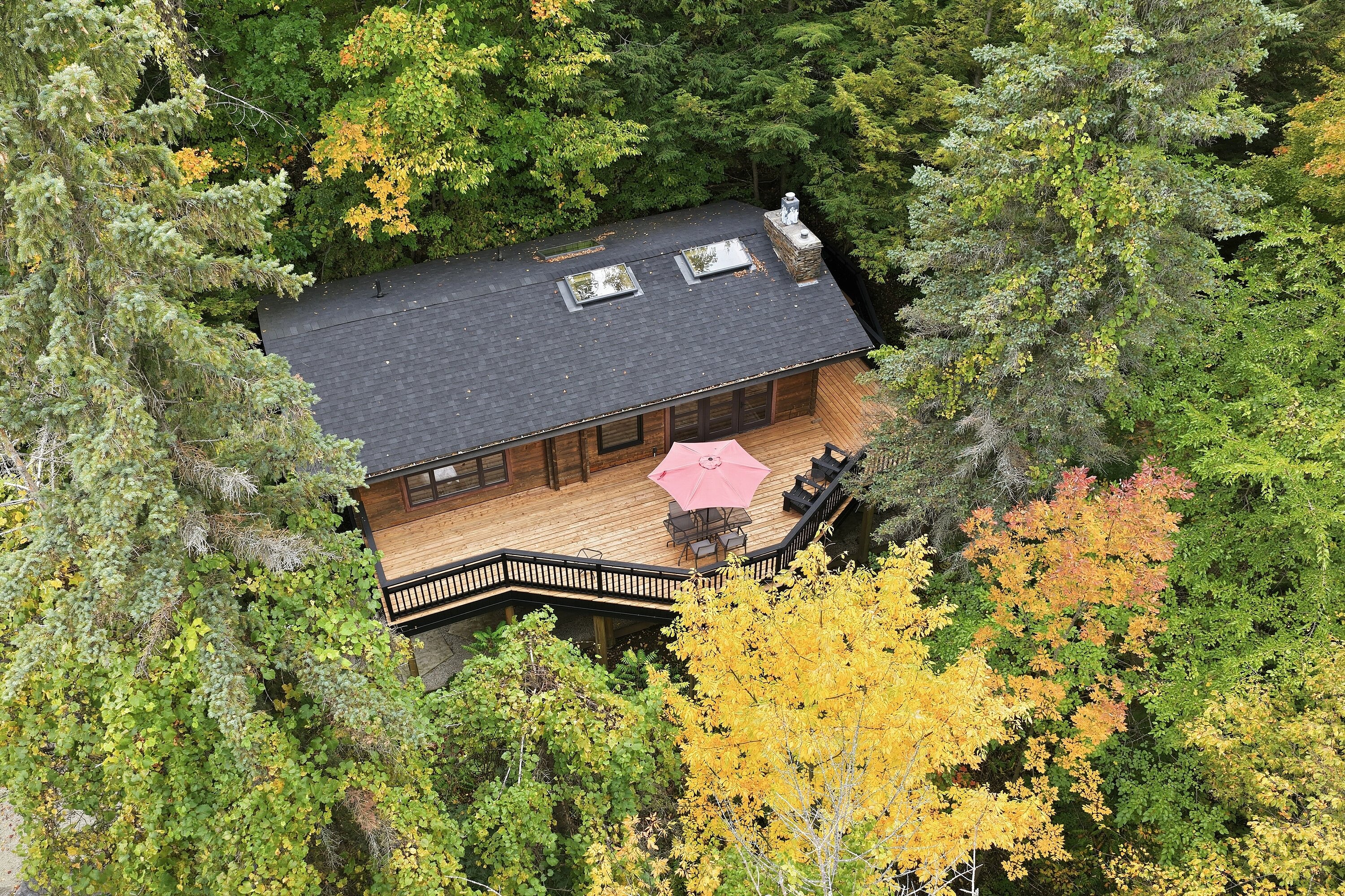  Craigleith Hillside Chalet - 物件實景