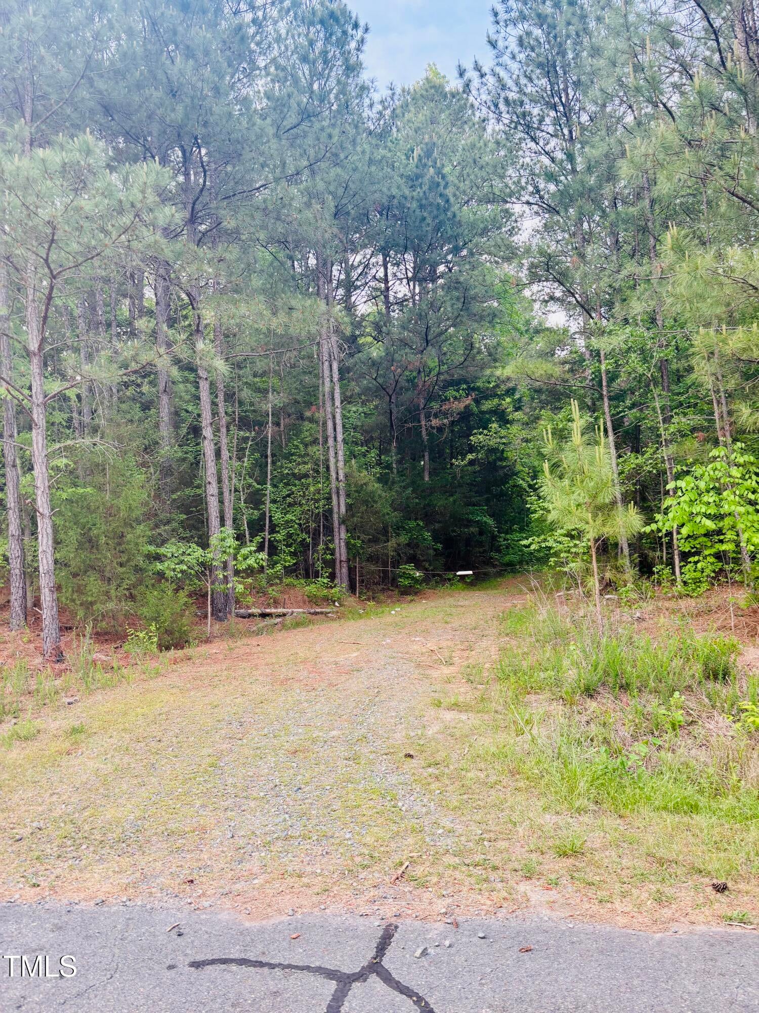 Pittsboro, North Carolina, 27312, United States, ,Land,For Sale,1786582