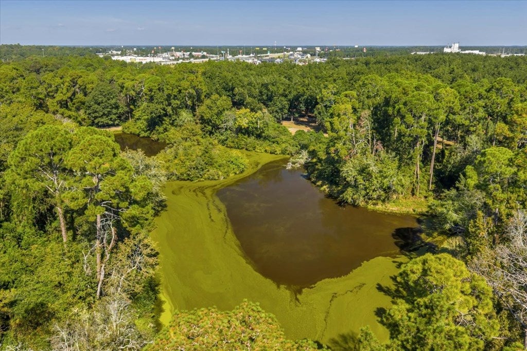 Cordele, Georgia, 31015, United States, 3 Bedrooms Bedrooms, ,5 BathroomsBathrooms,Residential,For Sale,1977947