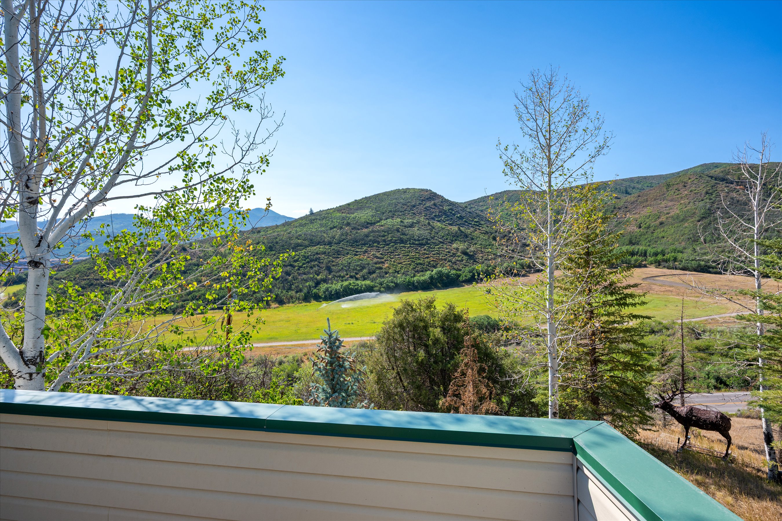  Two Private Acres in Brush Creek Village - 物件實景