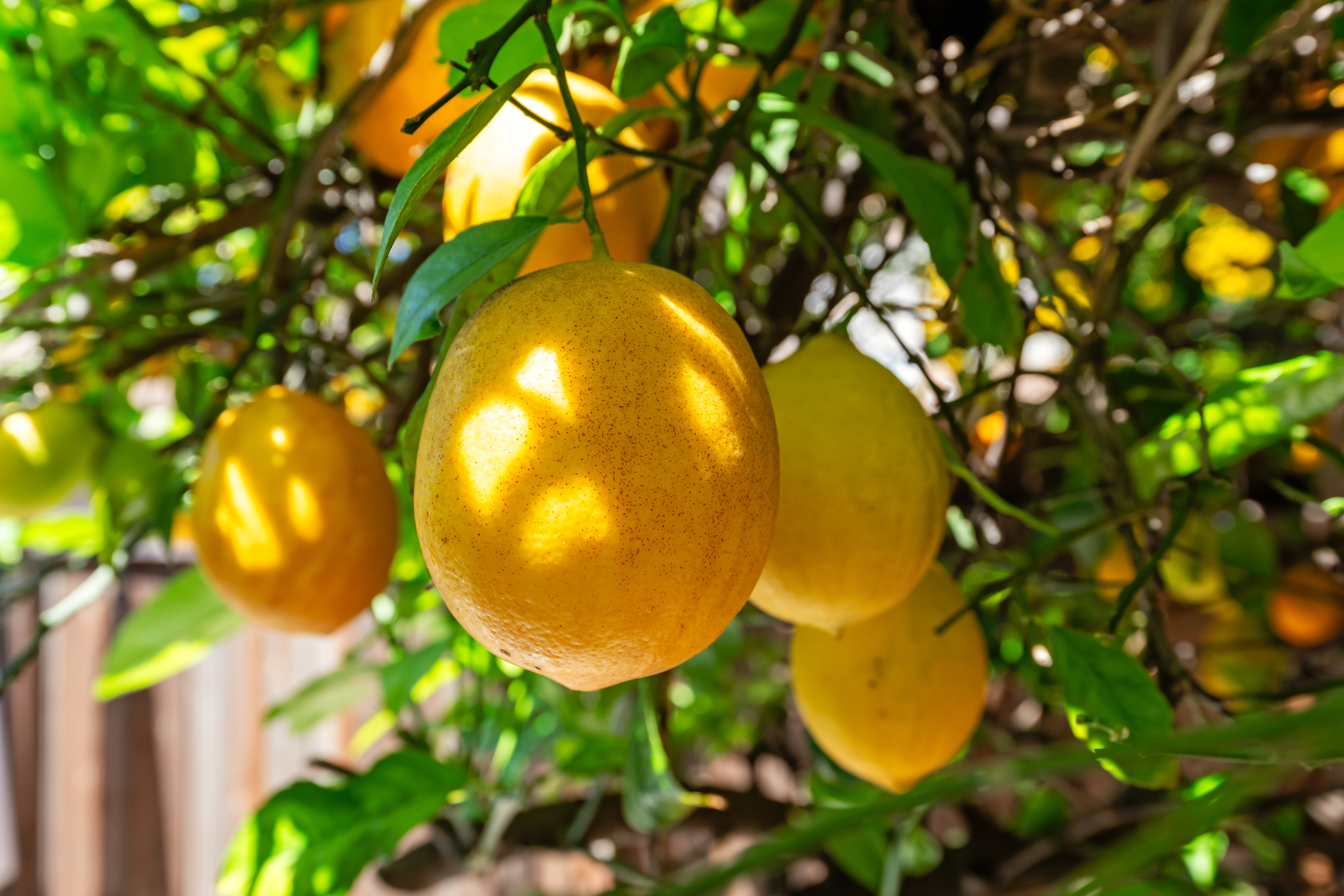  15124 Campus Park Drive, C, Moorpark, CA 93021 - 物件實景