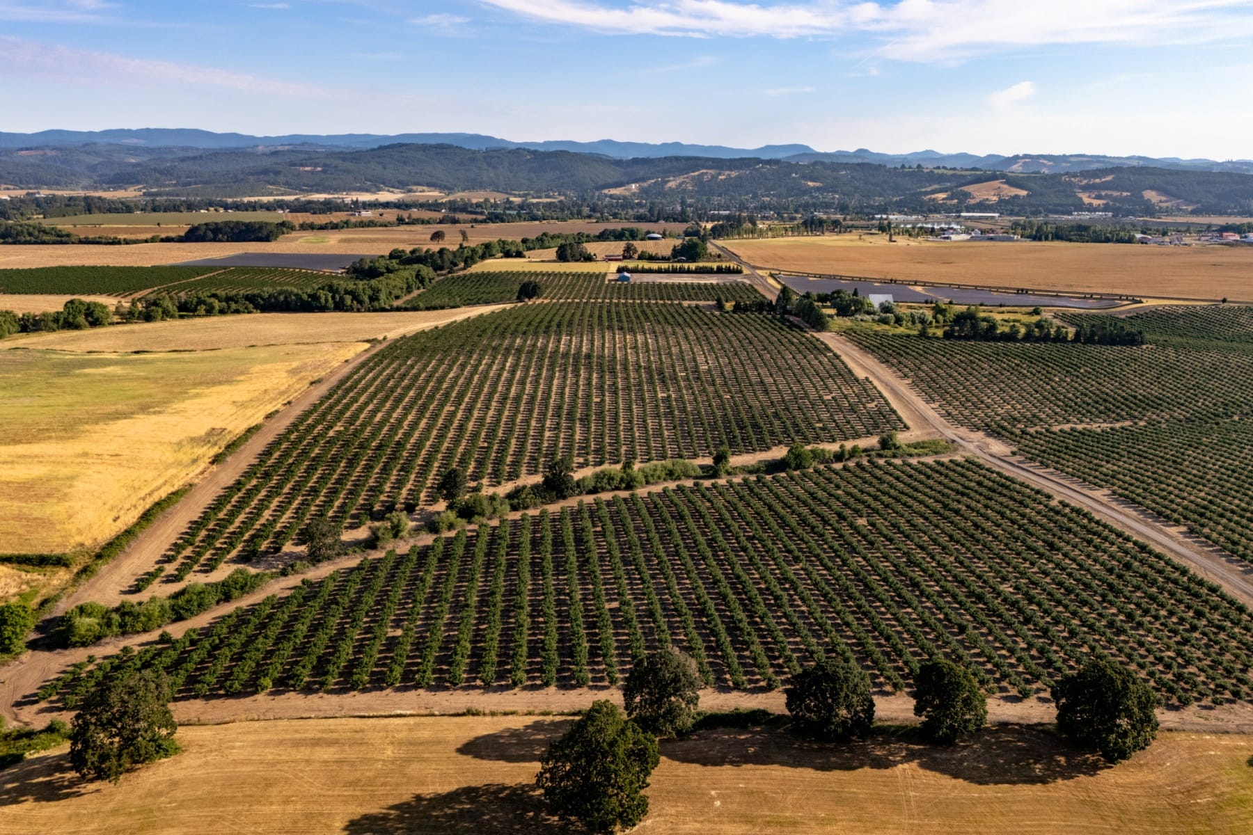  0 SW Frys LN Sheridan, OR 97378 - 物件實景