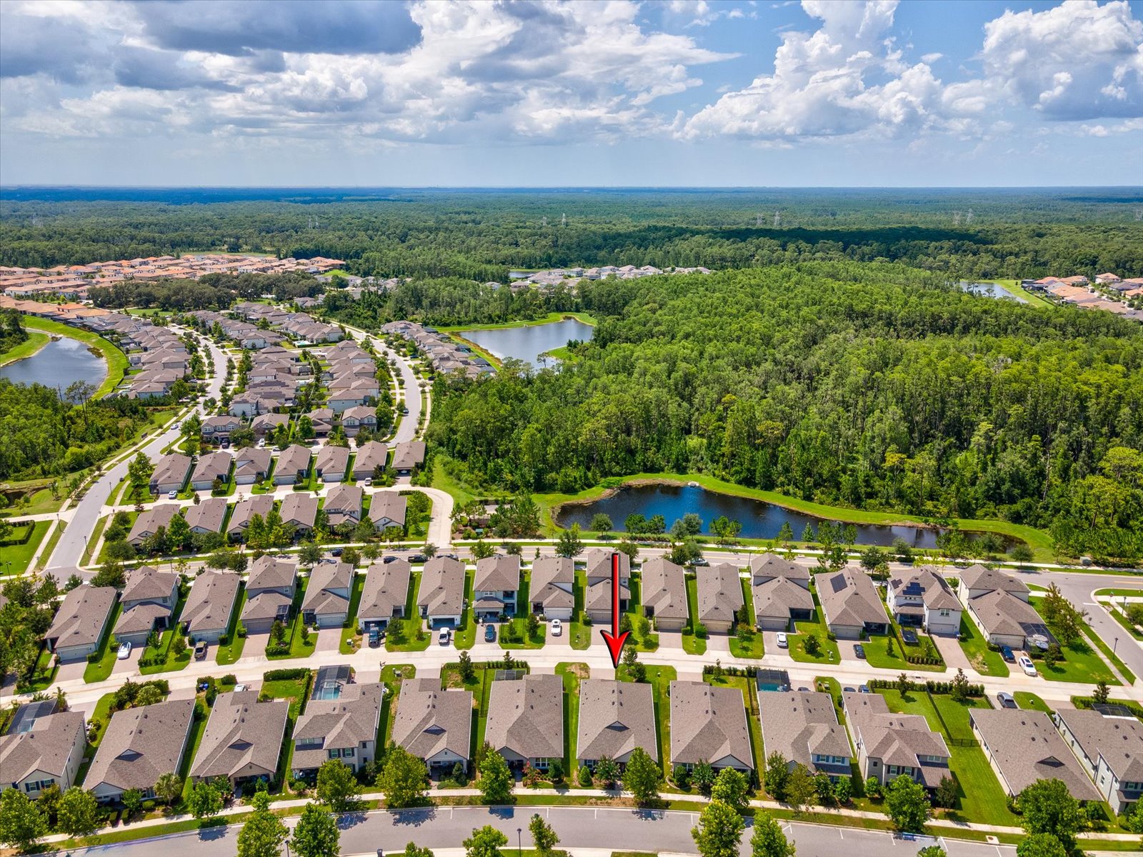 Odessa, Florida, 33556, United States, 3 Bedrooms Bedrooms, ,3 BathroomsBathrooms,Residential,For Sale,1868336