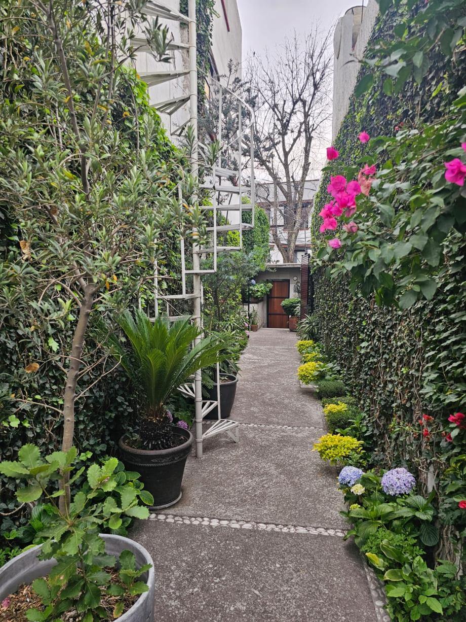 Palo Santo, Miguel Hidalgo, Ciudad de México, 11950, Mexico, 6 Bedrooms Bedrooms, ,2 BathroomsBathrooms,Residential,For Sale,Palo Santo,1627734
