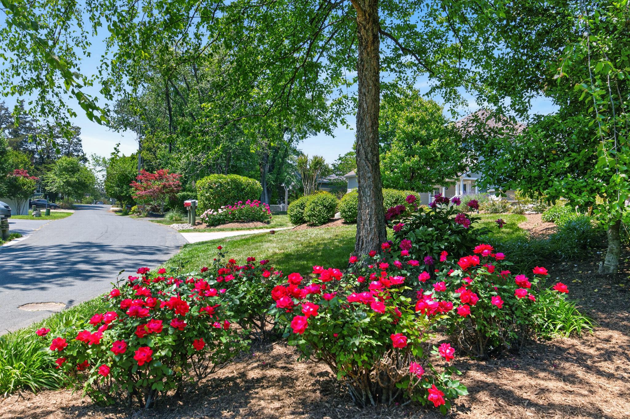  3650 Bay Drive, Edgewater, MD, 21037 - 物件實景