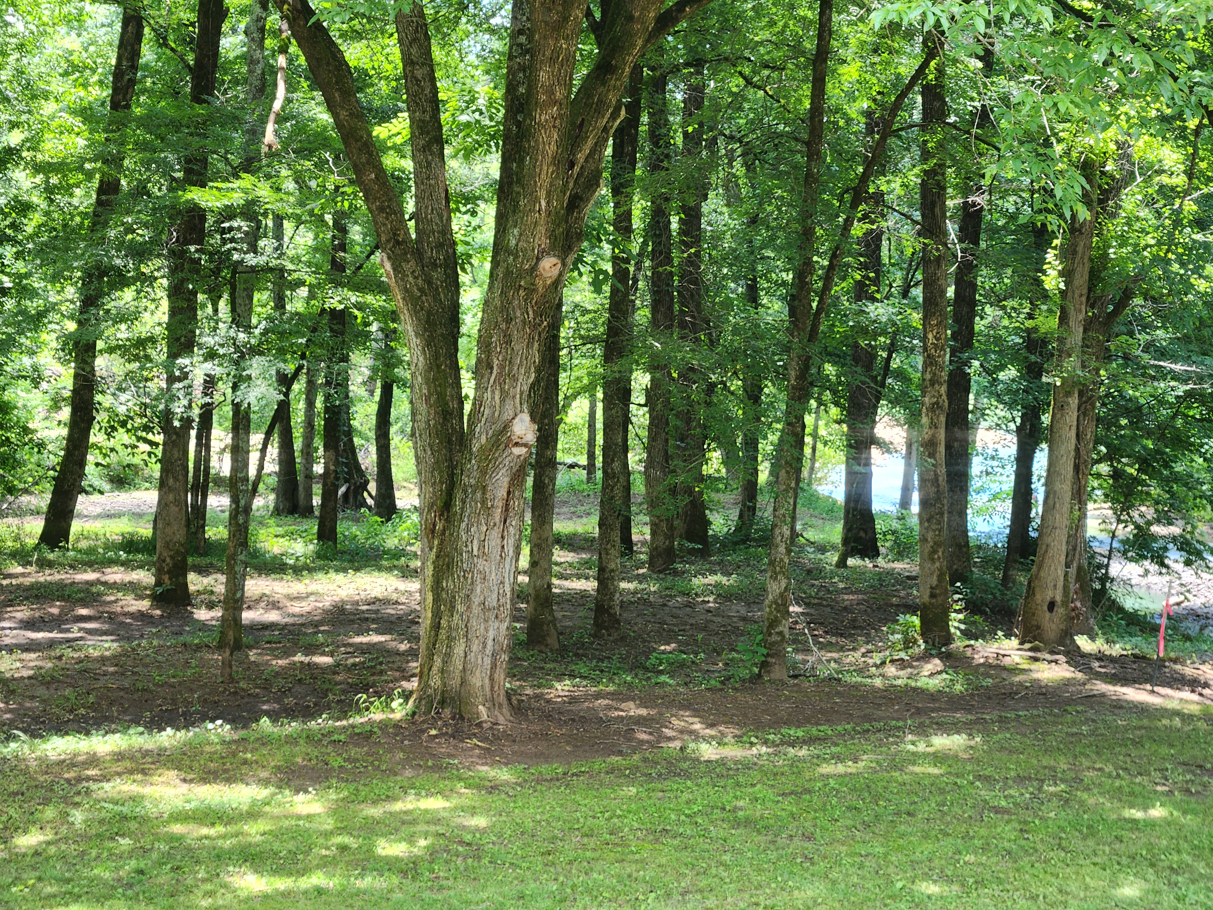 Pettigrew, Arkansas, 72752, United States, 5 Bedrooms Bedrooms, ,4 BathroomsBathrooms,Residential,For Sale,1826540