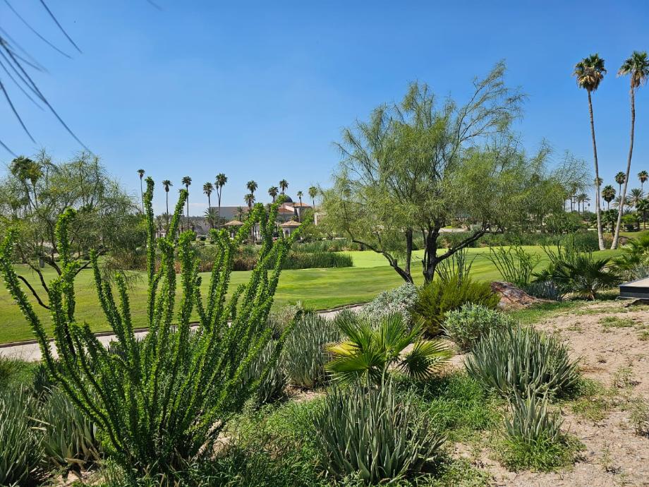 Sierra de los Alpes, Torreón, Coahuila de Zaragoza, 27274, Mexico, 1 Bedroom Bedrooms, ,Residential,For Sale,Sierra de los Alpes,1599847