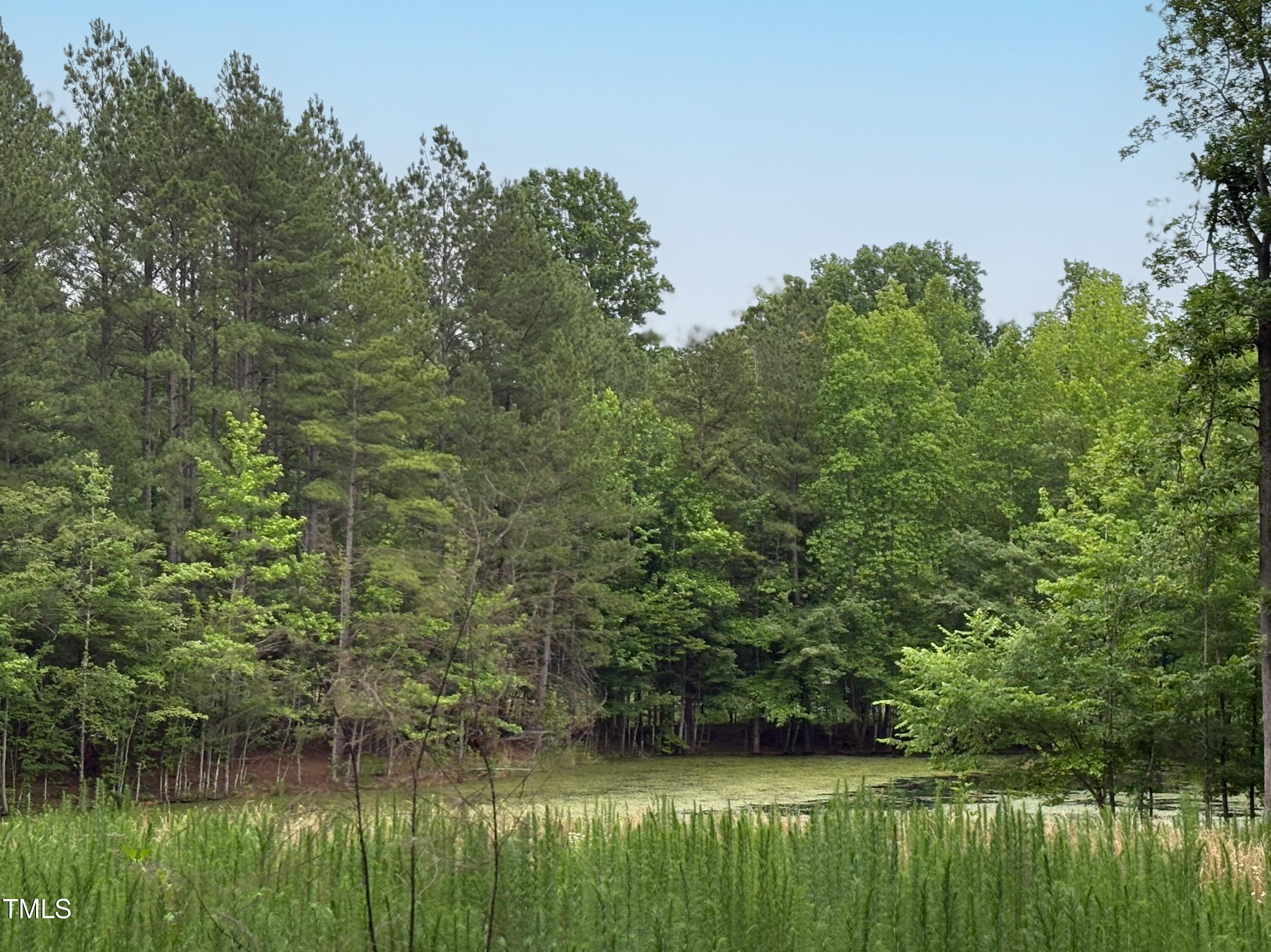 Chapel Hill, North Carolina, 27516, United States, ,Land,For Sale,1846897