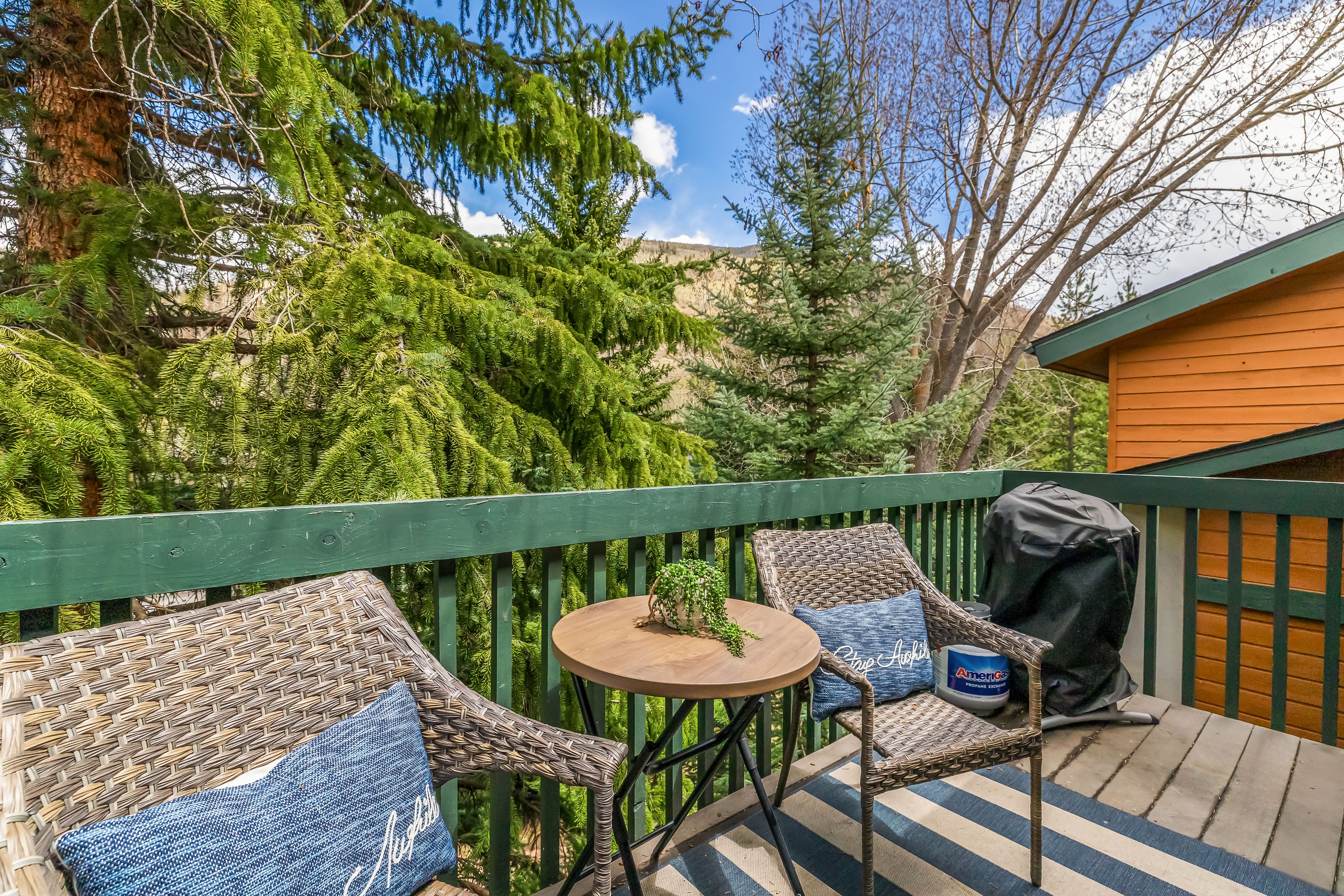  4514 Timber Falls Court, Vail, CO, 81657 - 物件實景