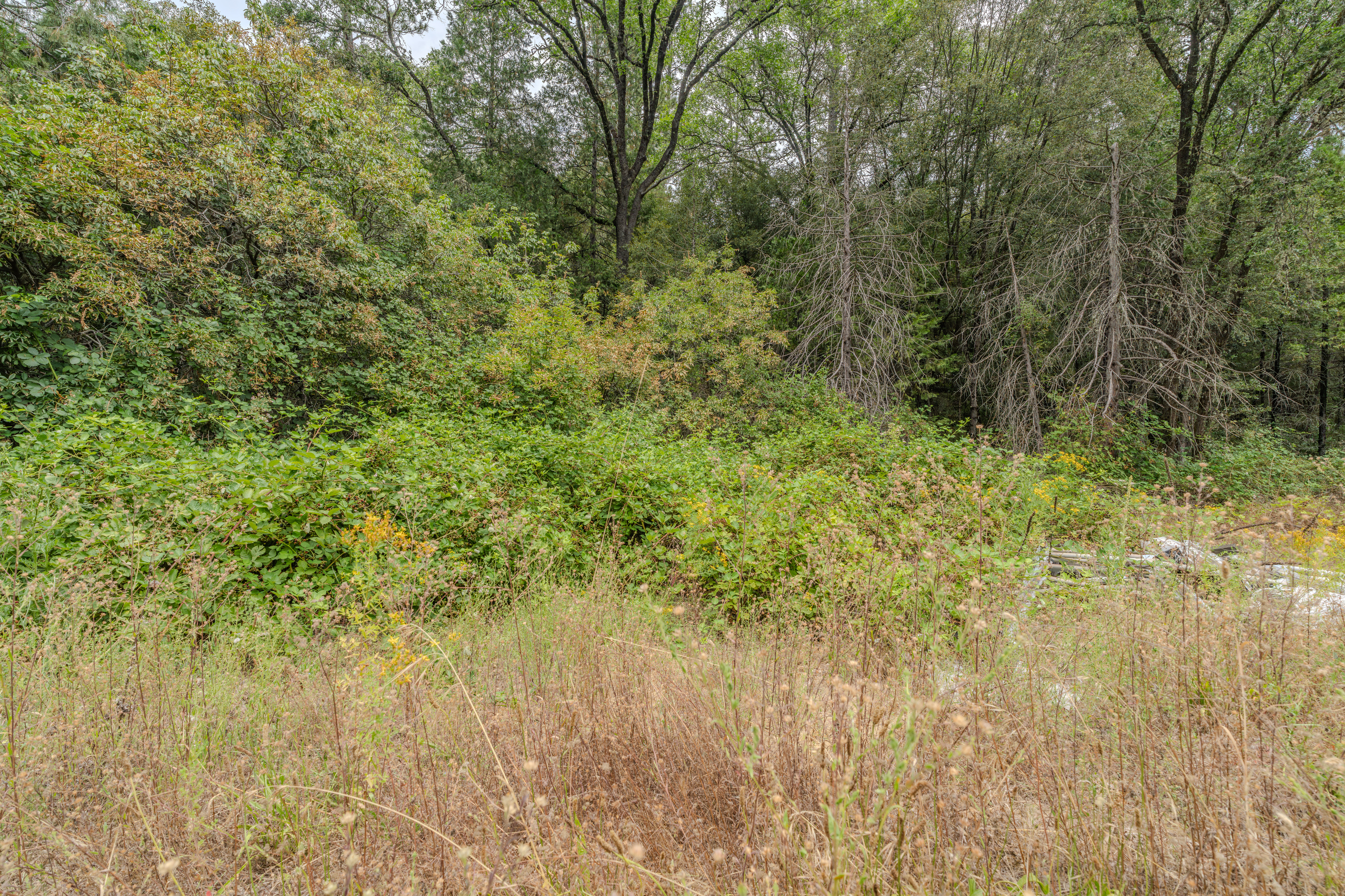  18101 Old River Road, Fiddletown, CA 95629 - 物件實景