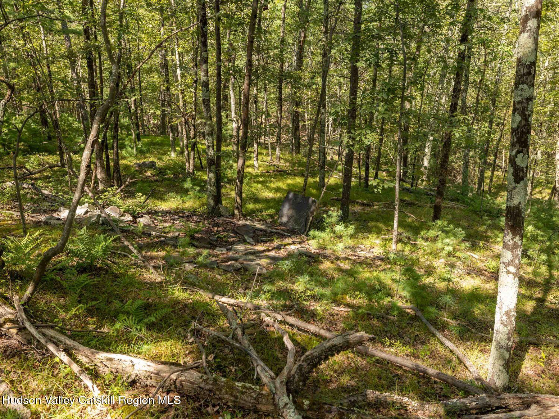 Hurley, New York, 12443, United States, ,Residential,For Sale,1947114