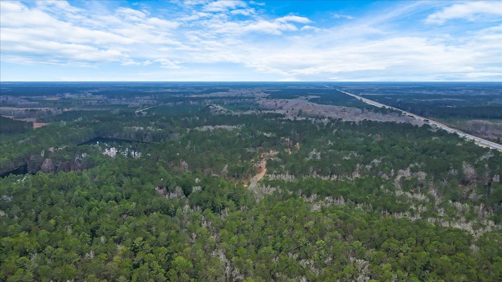 156 AC Us Hwy 17 Hwy, Townsend, Georgia, 31331, United States, ,Land,For Sale,156 AC Us Hwy 17 Hwy,1472997