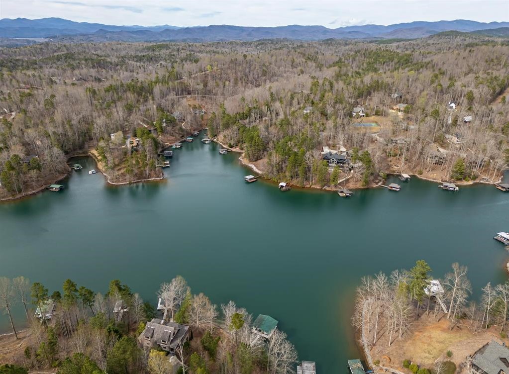 Sunset, South Carolina, 29685, United States, ,Land,For Sale,1896447