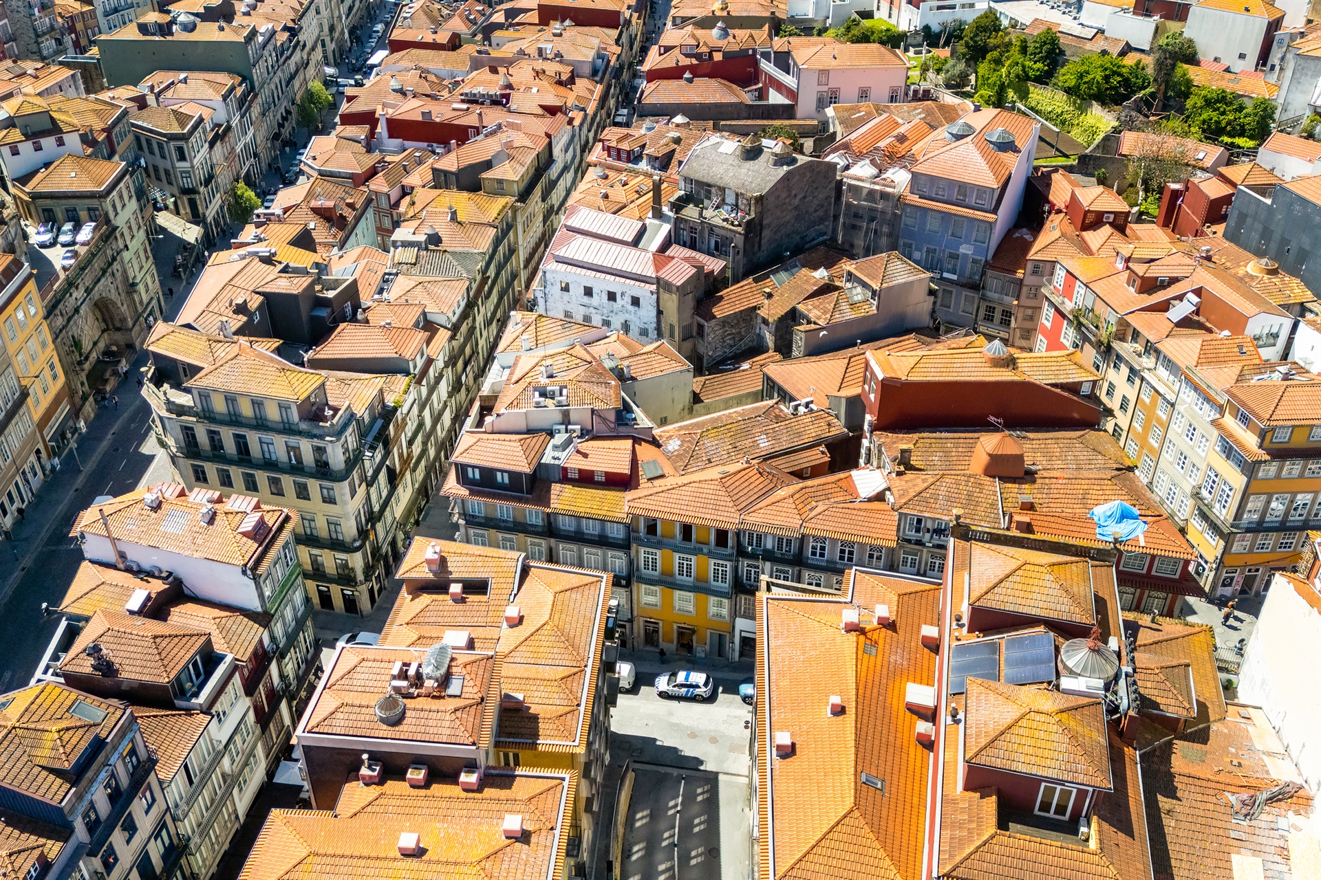  Flat, 1 bedrooms, for Sale - 物件實景